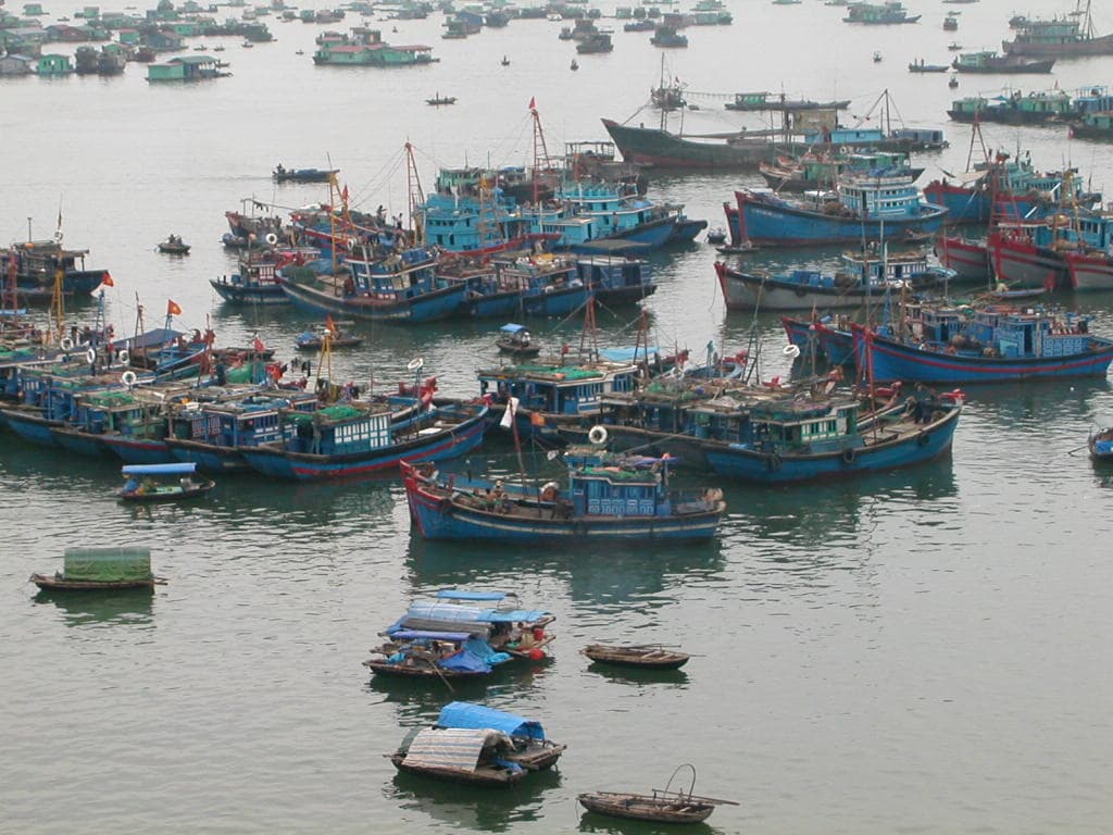 Ha Long bay tourism 34.jpg