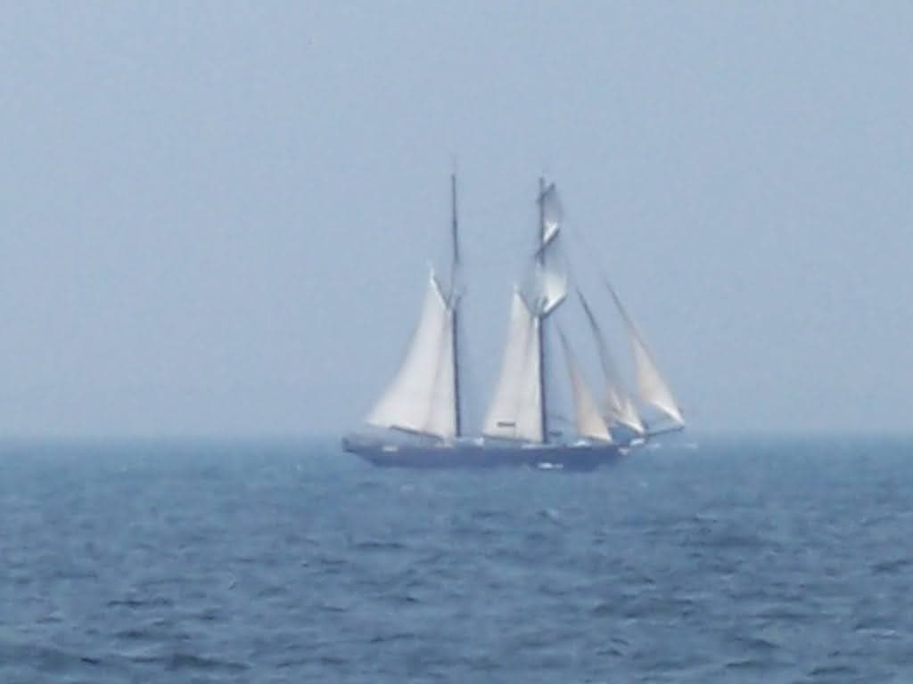 Nantucket Sound topsail schooner Shenandoah.jpg