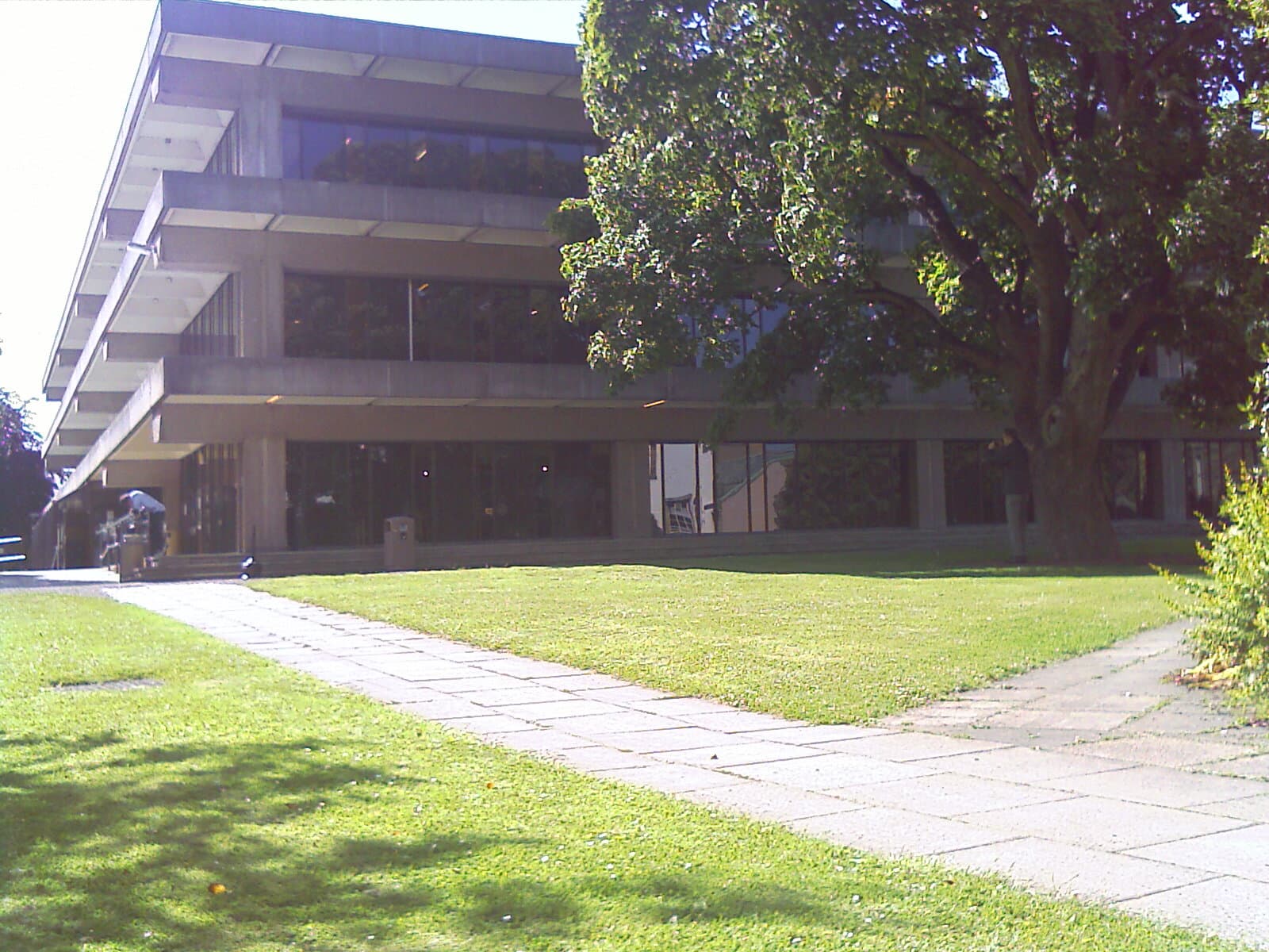 St Andrews University Library.jpg