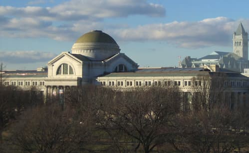 National Museum of Natural History.jpg