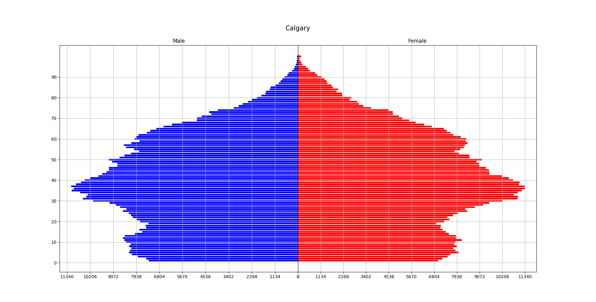 2021 Calgary Population Pyramid.png