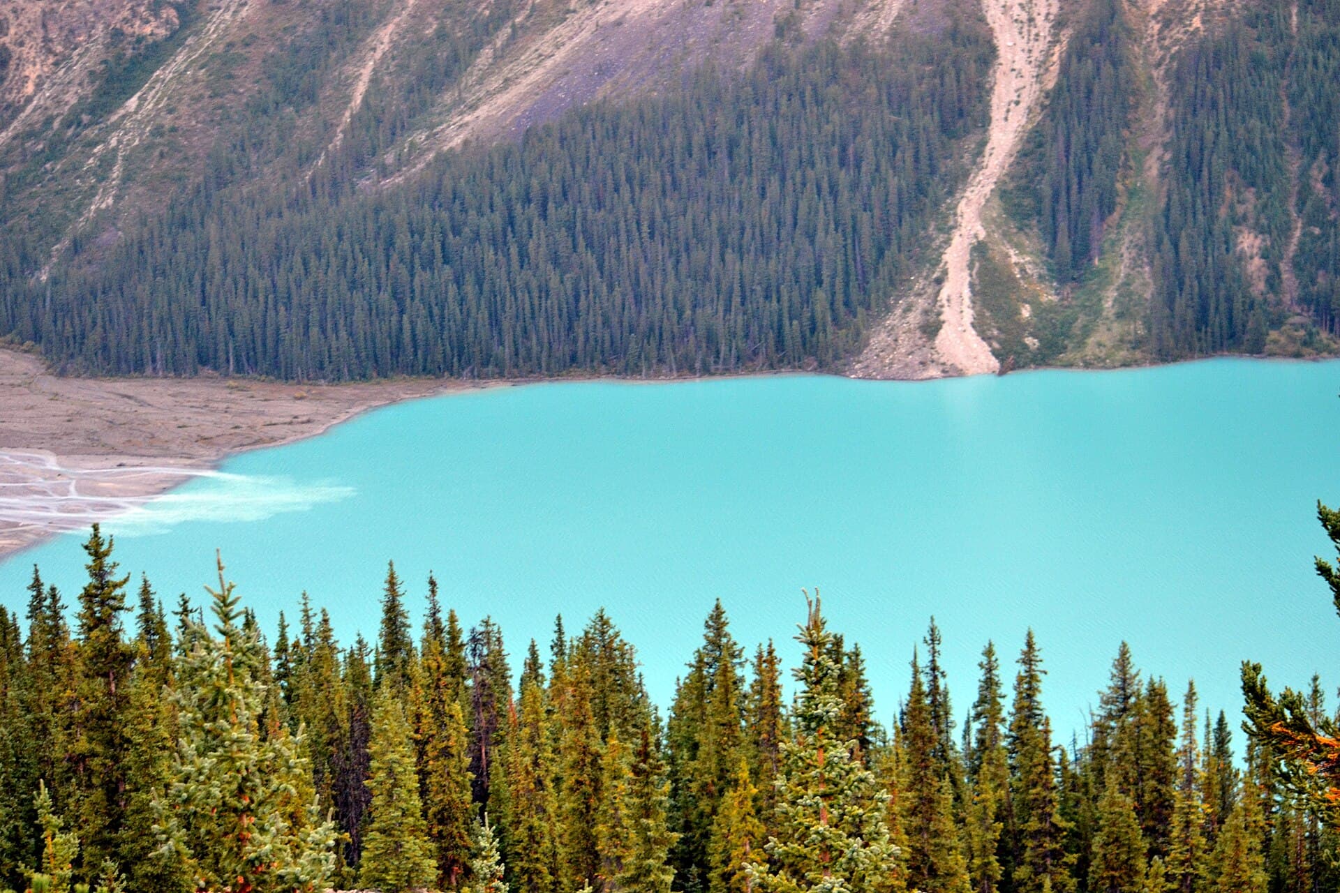 Peyto Lake 8.jpg
