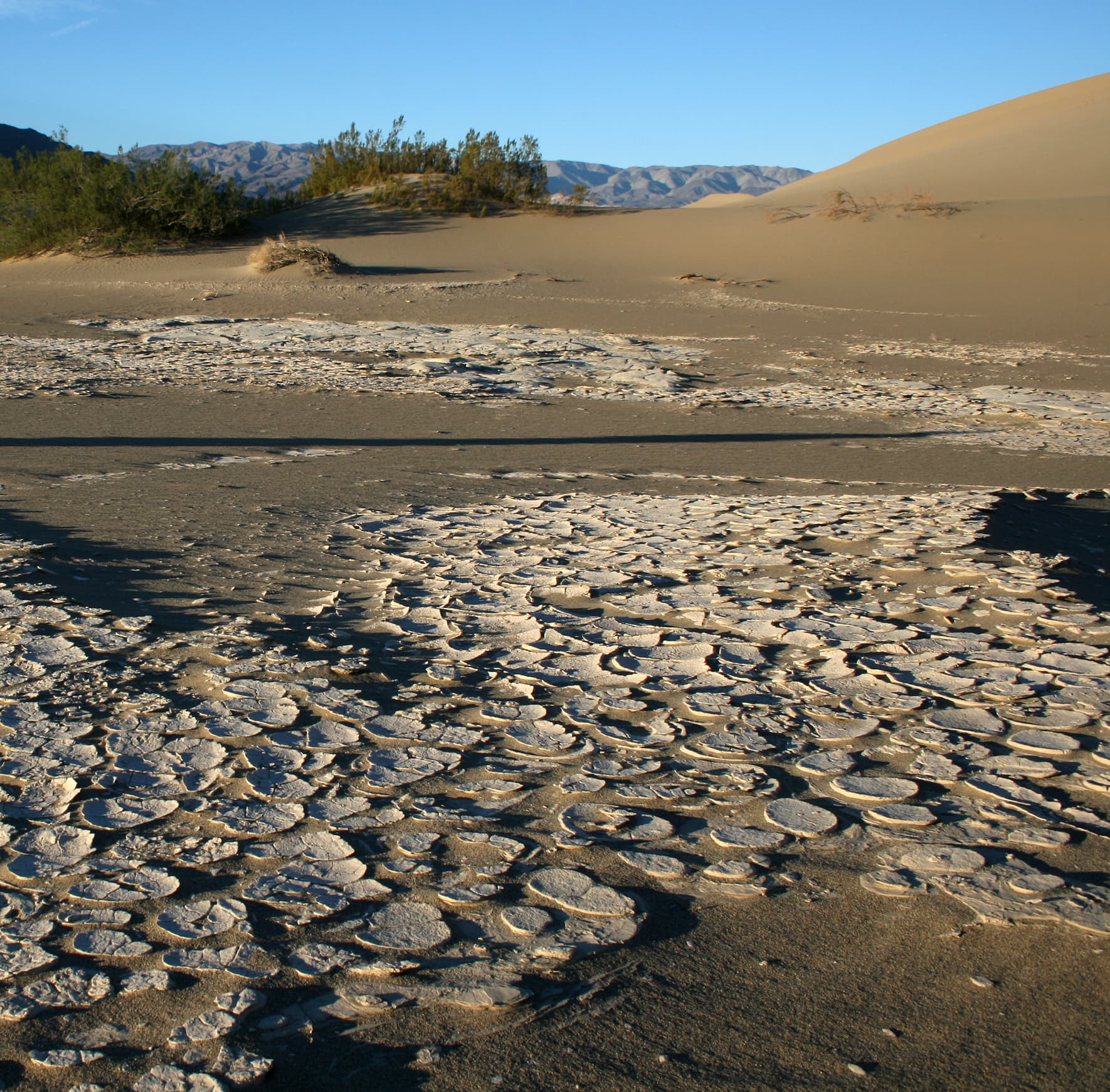 Desiccation cracks and Sand Dunes in Death Valley National Park.jpg