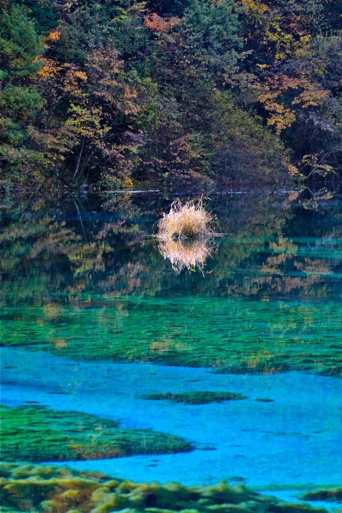 Jiu Zhai Gou, Sichuan China - 4053586389.jpg