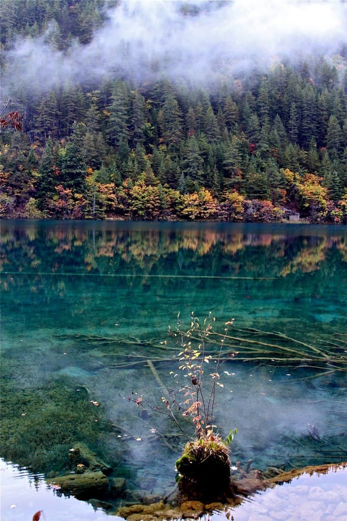 Jiu Zhai Gou, Sichuan China - 4054416150.jpg