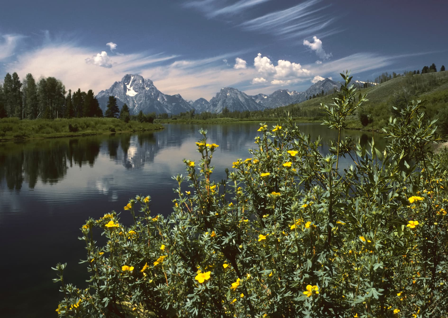 Oxbow Bend outlook in the Grand Teton National Park.jpg
