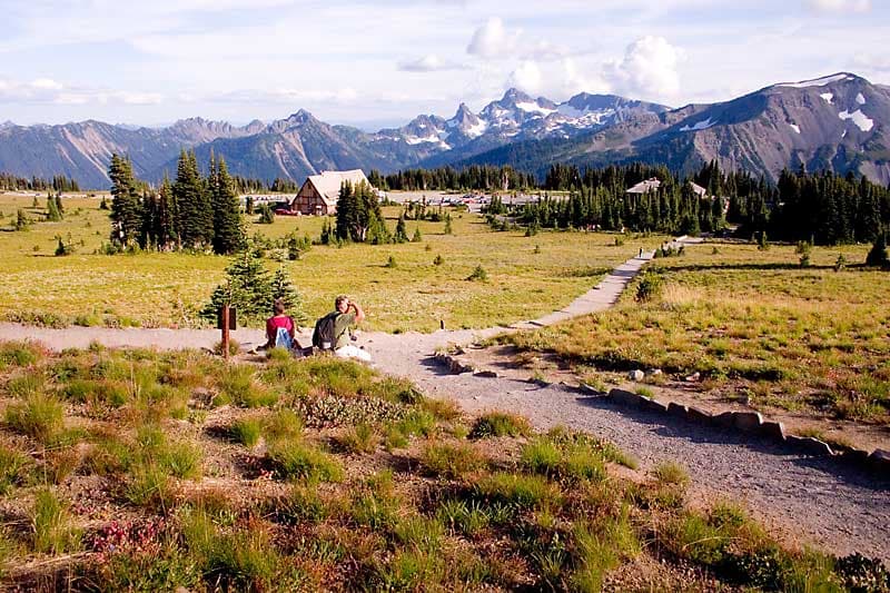 Paradise subalpine Mount Rainier National Park.jpg