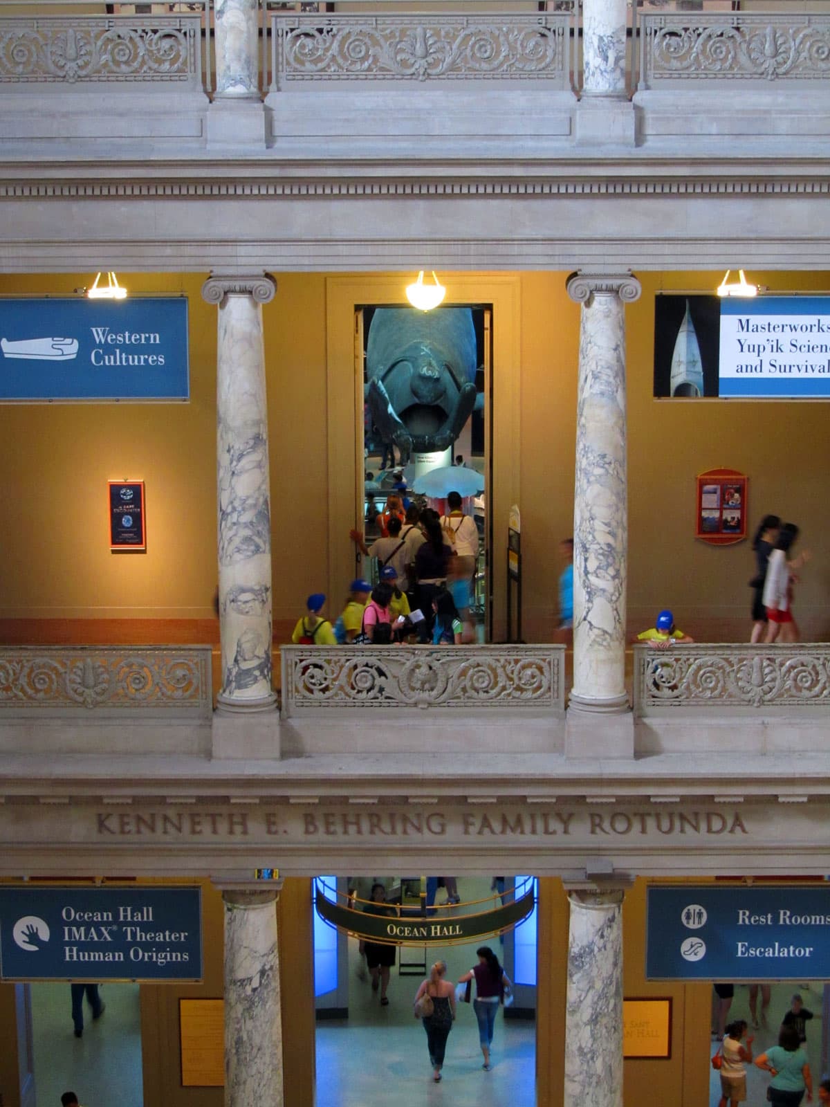 National Museum of Natural History - Flickr - treegrow (3).jpg