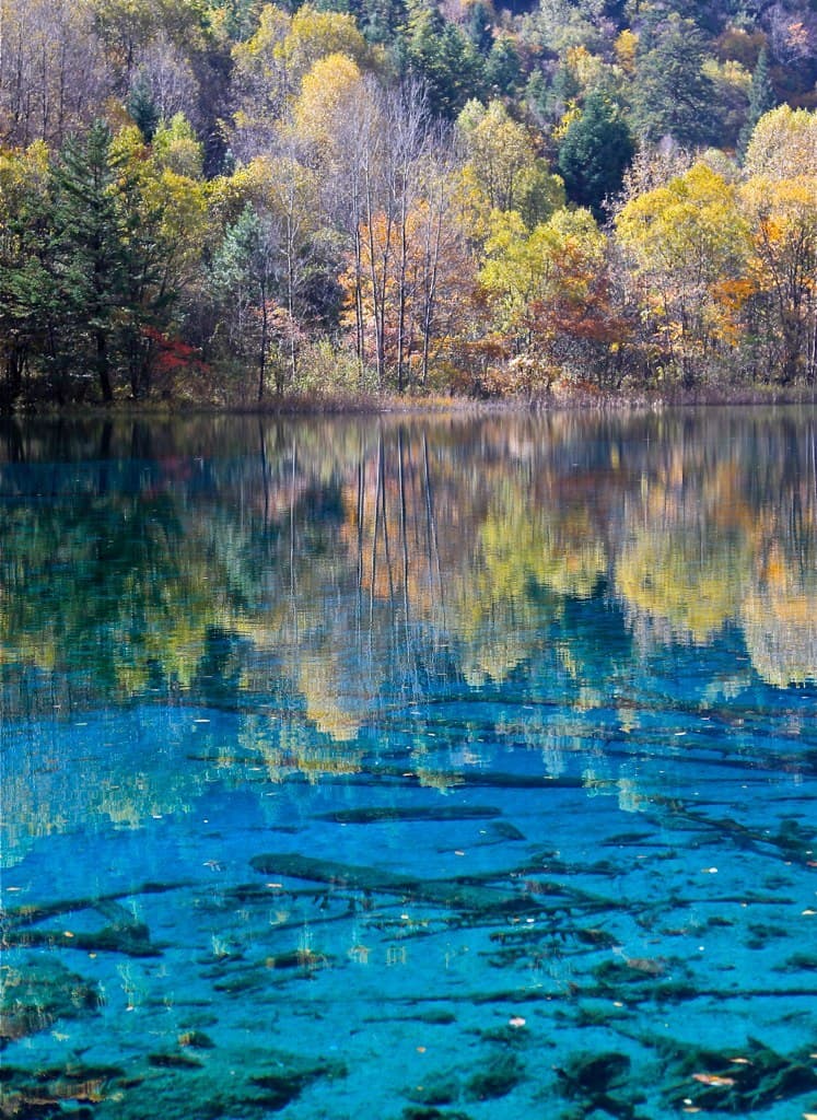 Jiu Zhai Gou, Sichuan China - 4054334914.jpg