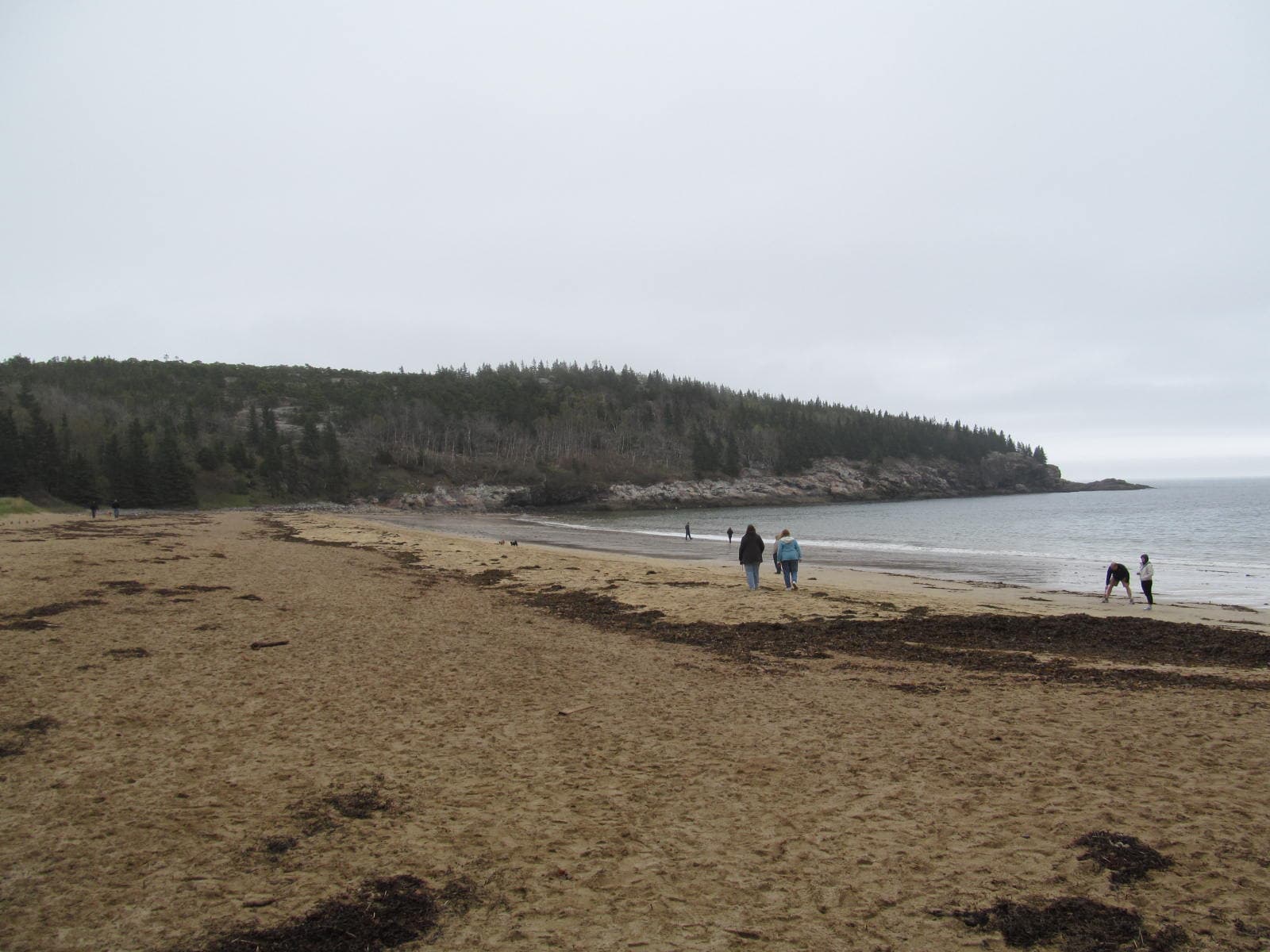 Sand Beach - Acadia National Park - Maine - 7254851476.jpg