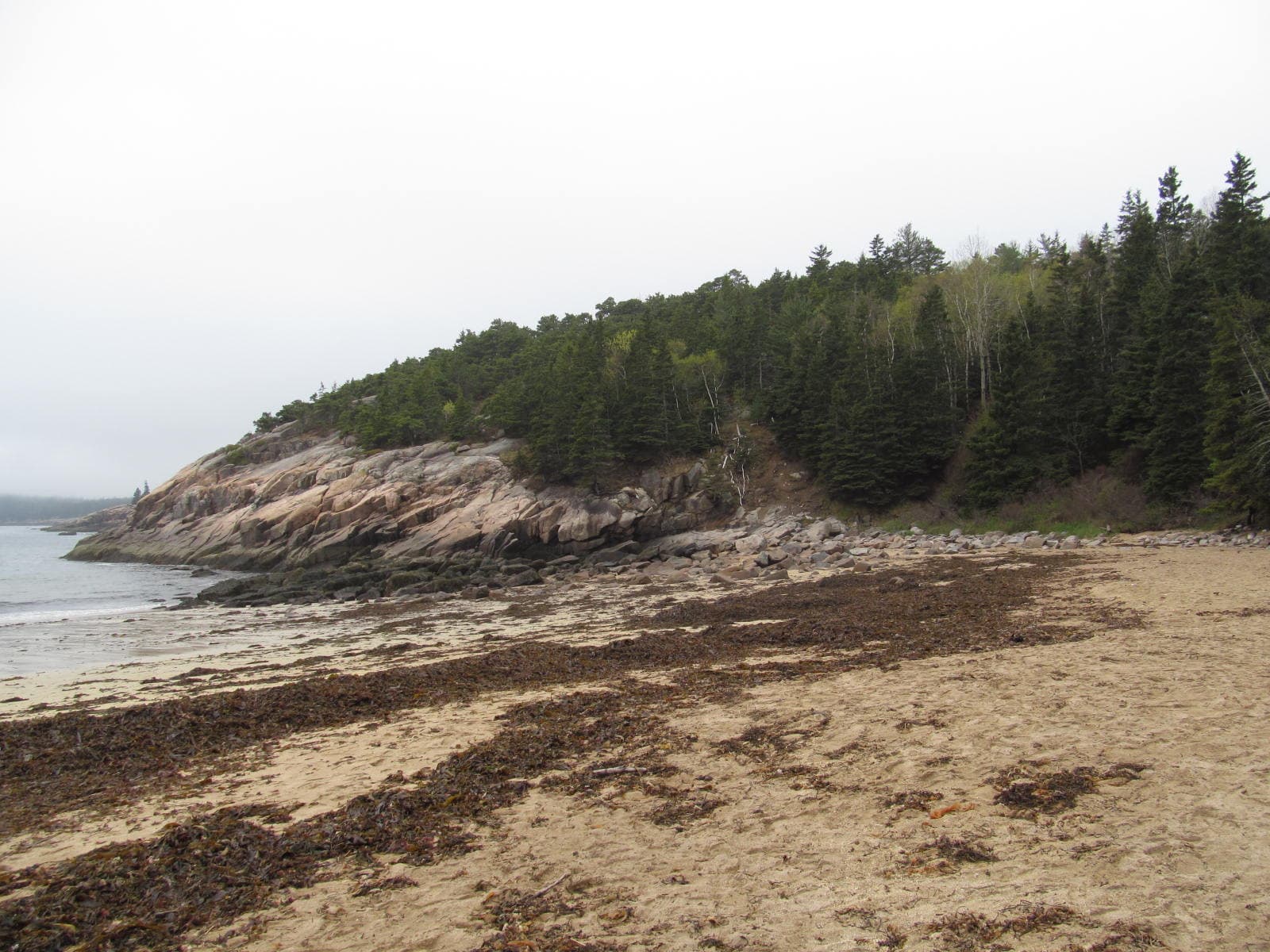 Sand Beach - Acadia National Park - Maine - 7254853630.jpg