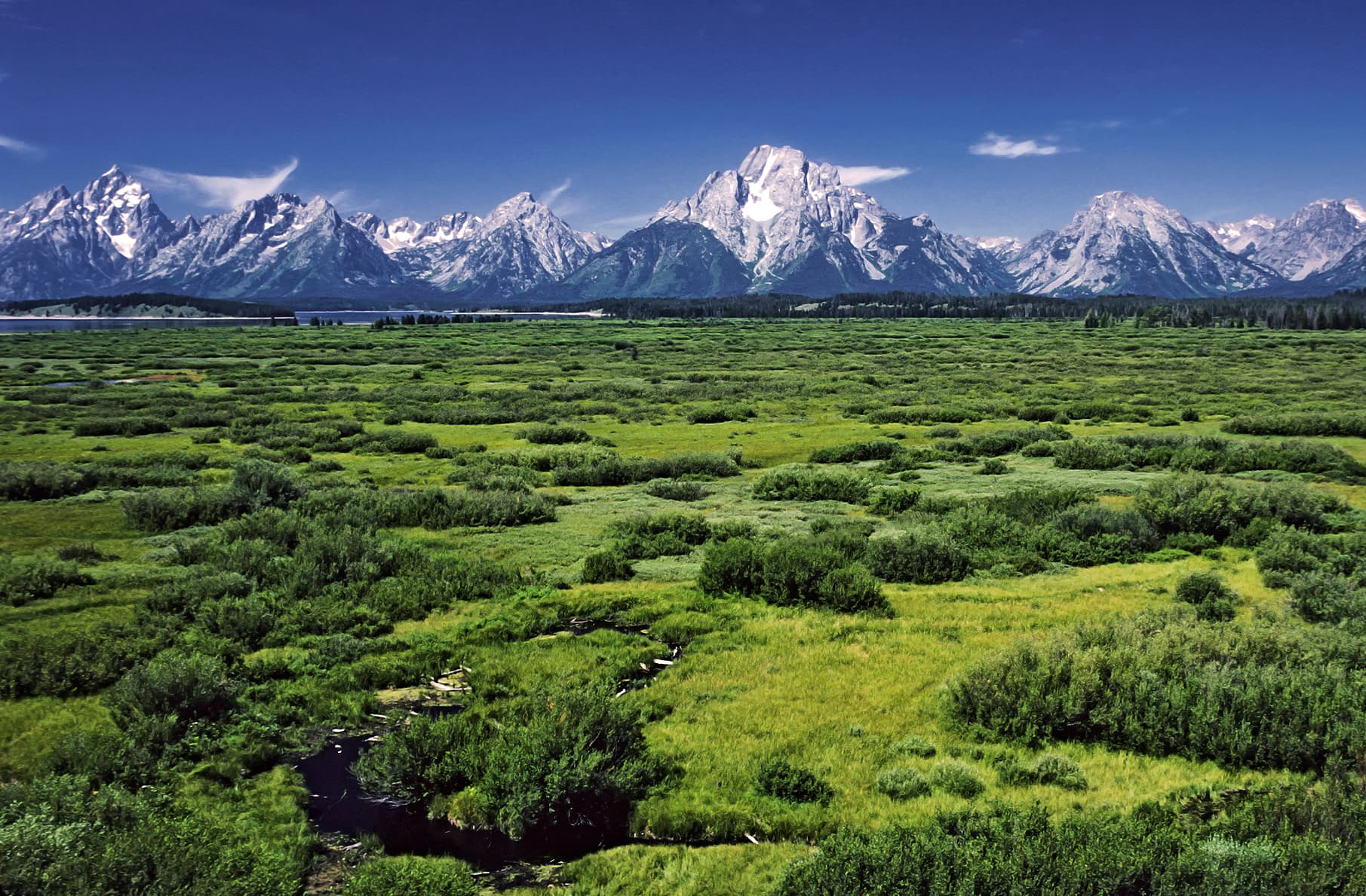 Willow Flats area and Teton Range in Grand Teton National Park.jpg