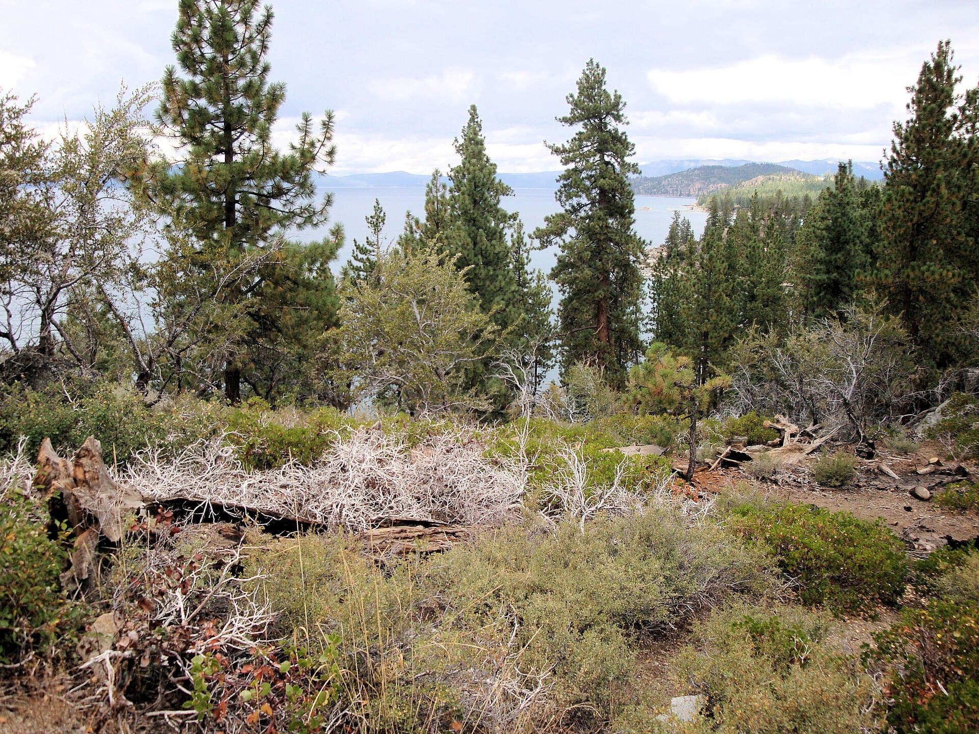 DSC02815, South Lake Tahoe, Nevada, USA (8373795196).jpg