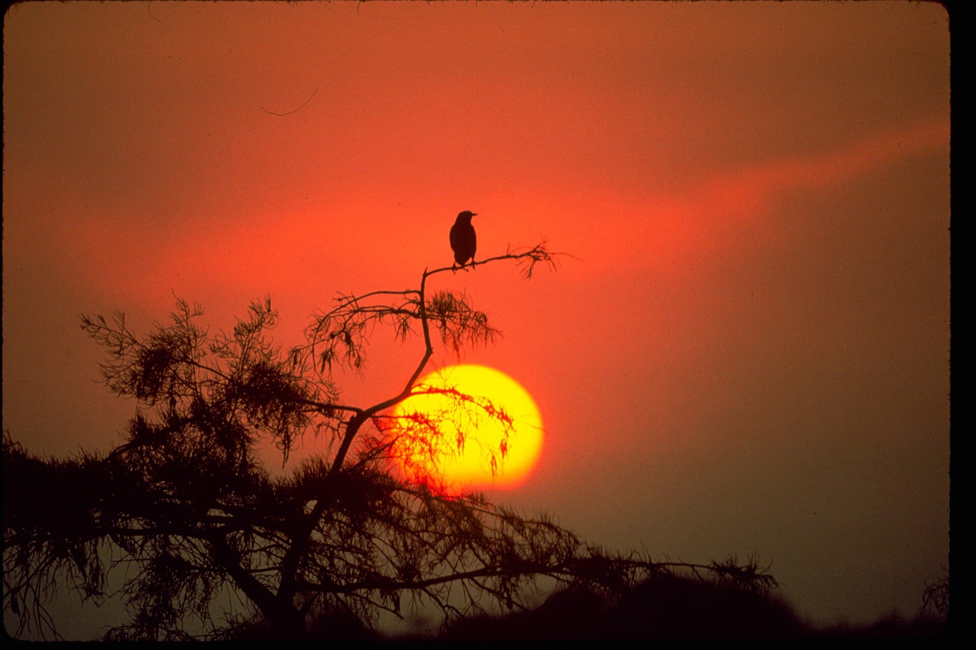Everglades National Park EVER1503.jpg