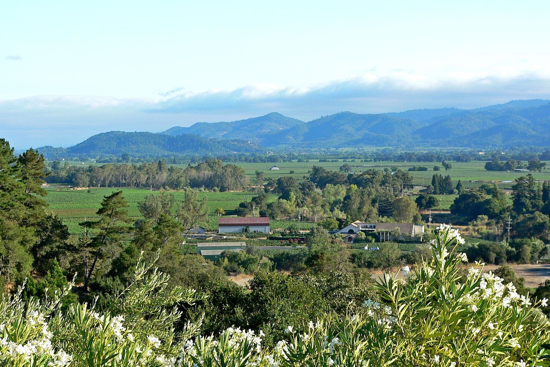 Napa Valley from Auberge du Soleil 1.jpg