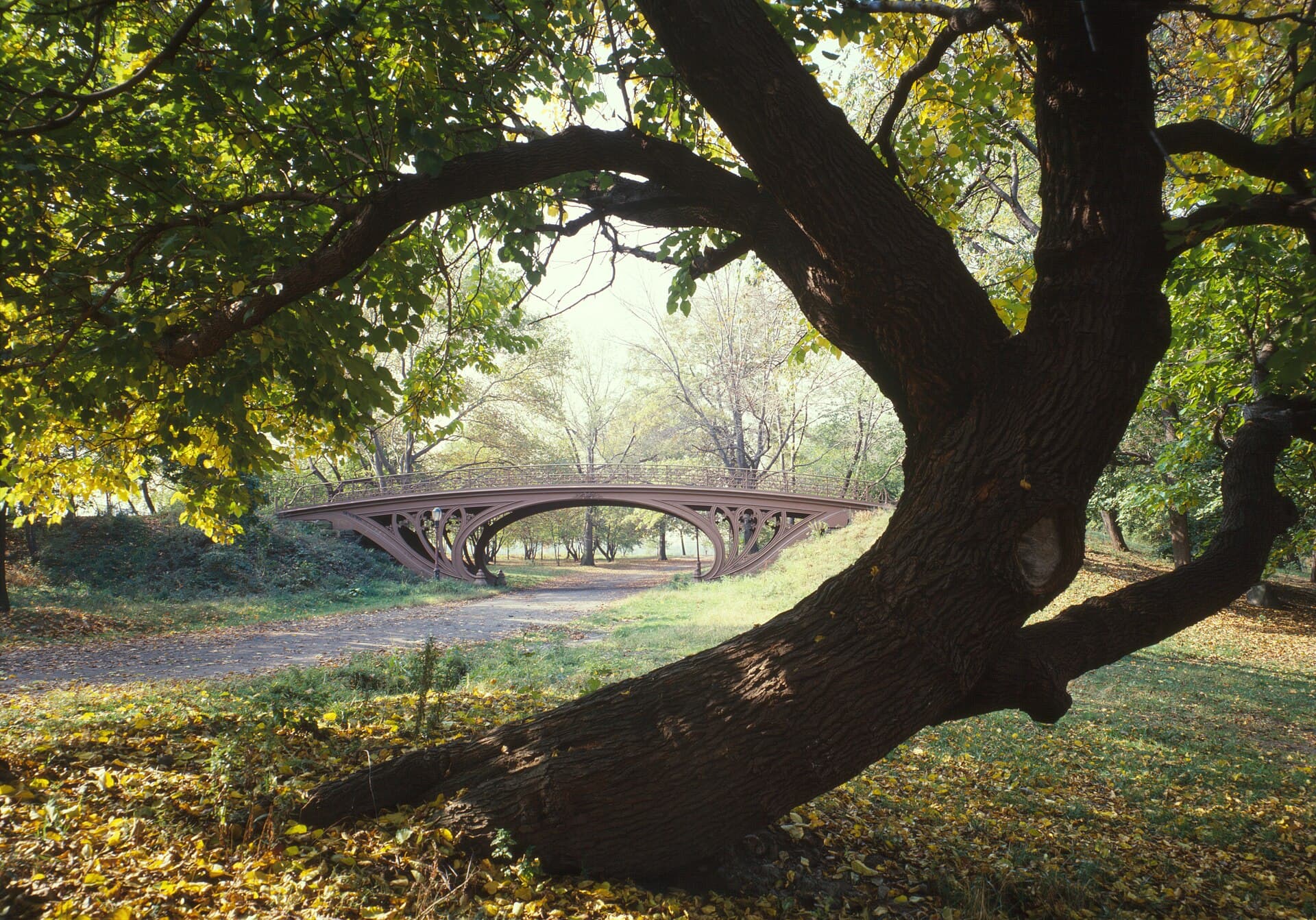 Central Park New York City New York 23 cropped.jpg