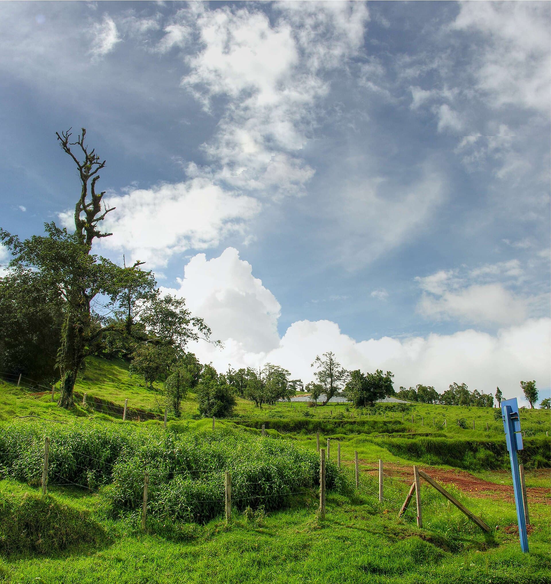 Poas Volcano 006.jpg