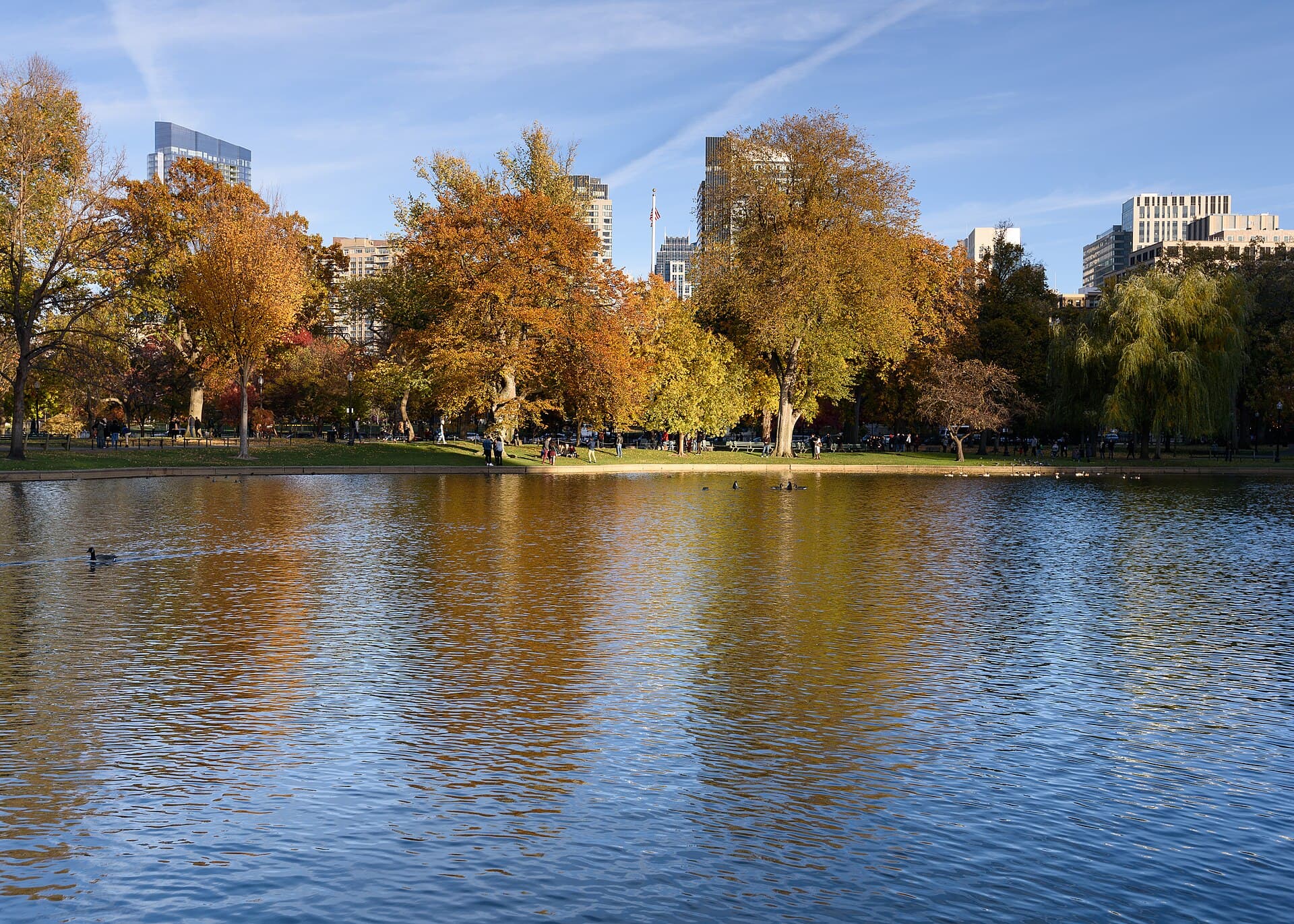 Boston Public Garden November 2016 002.jpg