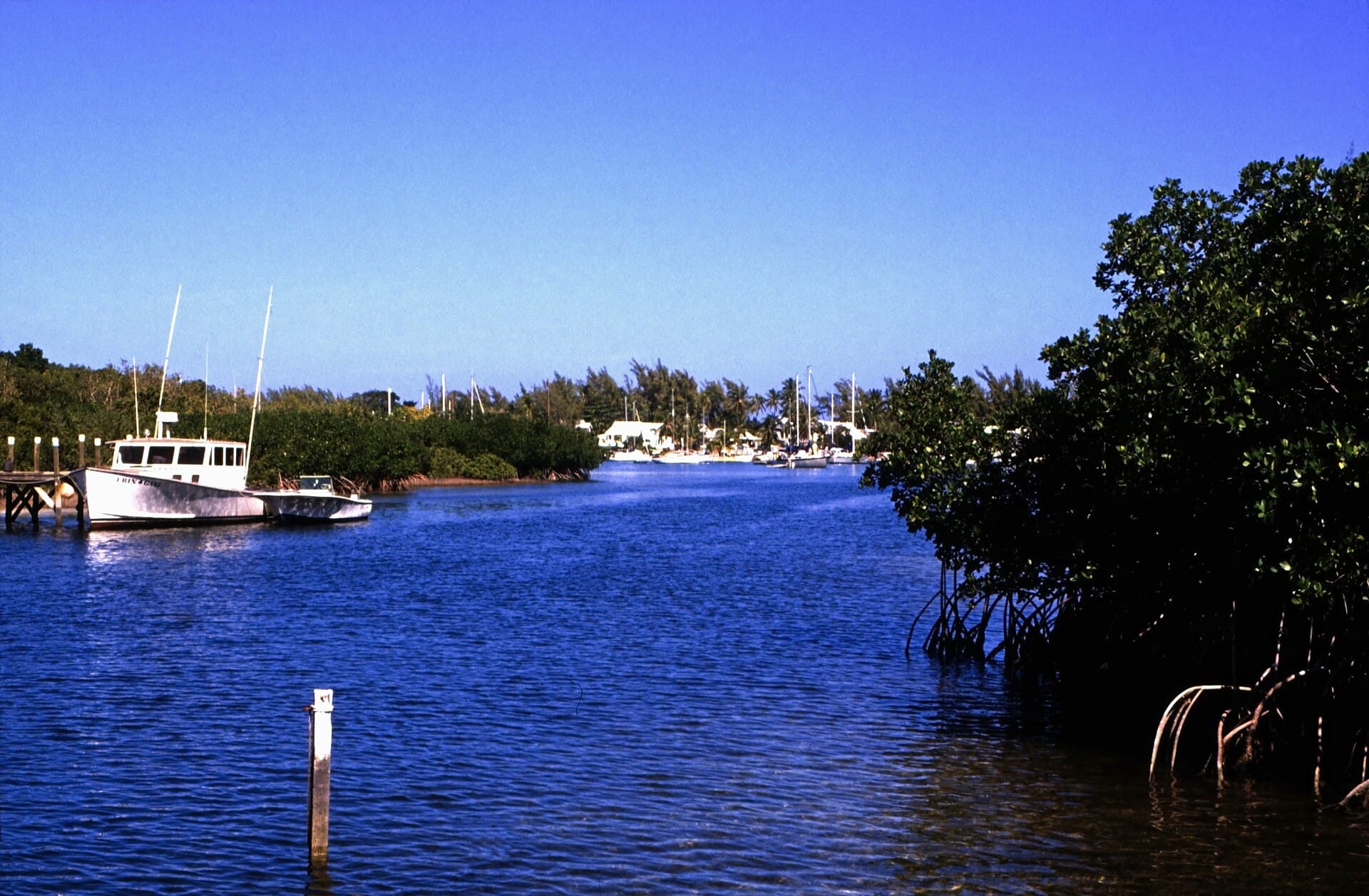 Bahamas 1989 (452) Abaco Hope Town, Elbow Cay (24873154976).jpg