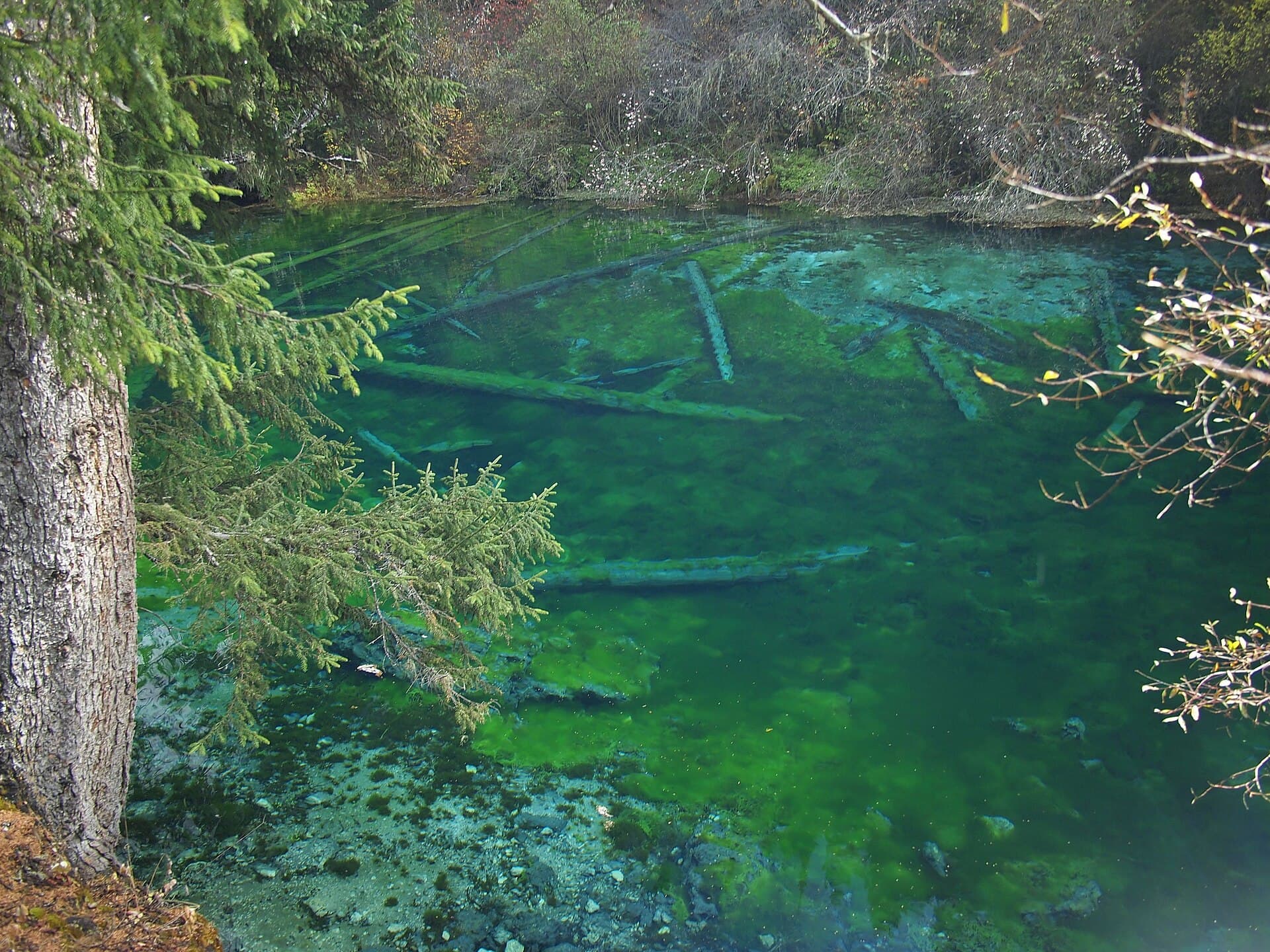翡翠湖 - Emerald Lake - 2011.10 - panoramio.jpg