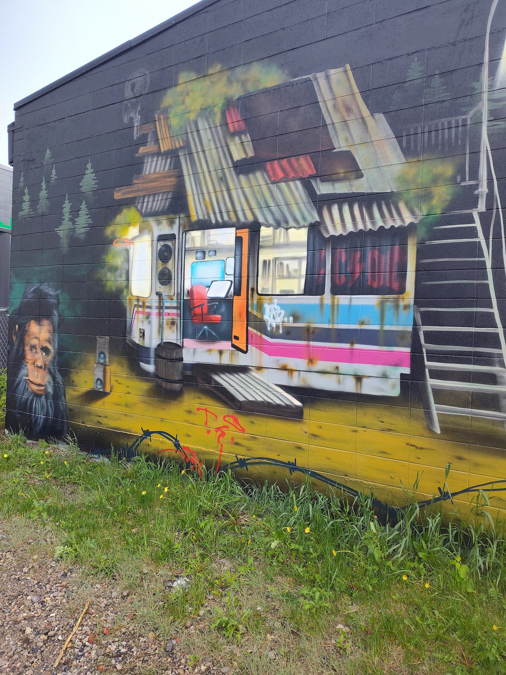 Calgary CTrain Mural in Sunalta.jpg