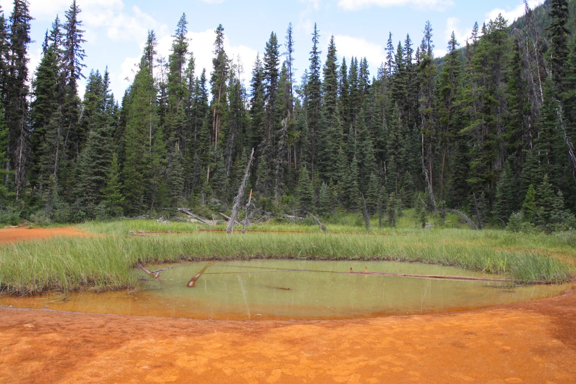 Kootenay National Park - Paint Pots 2.jpg