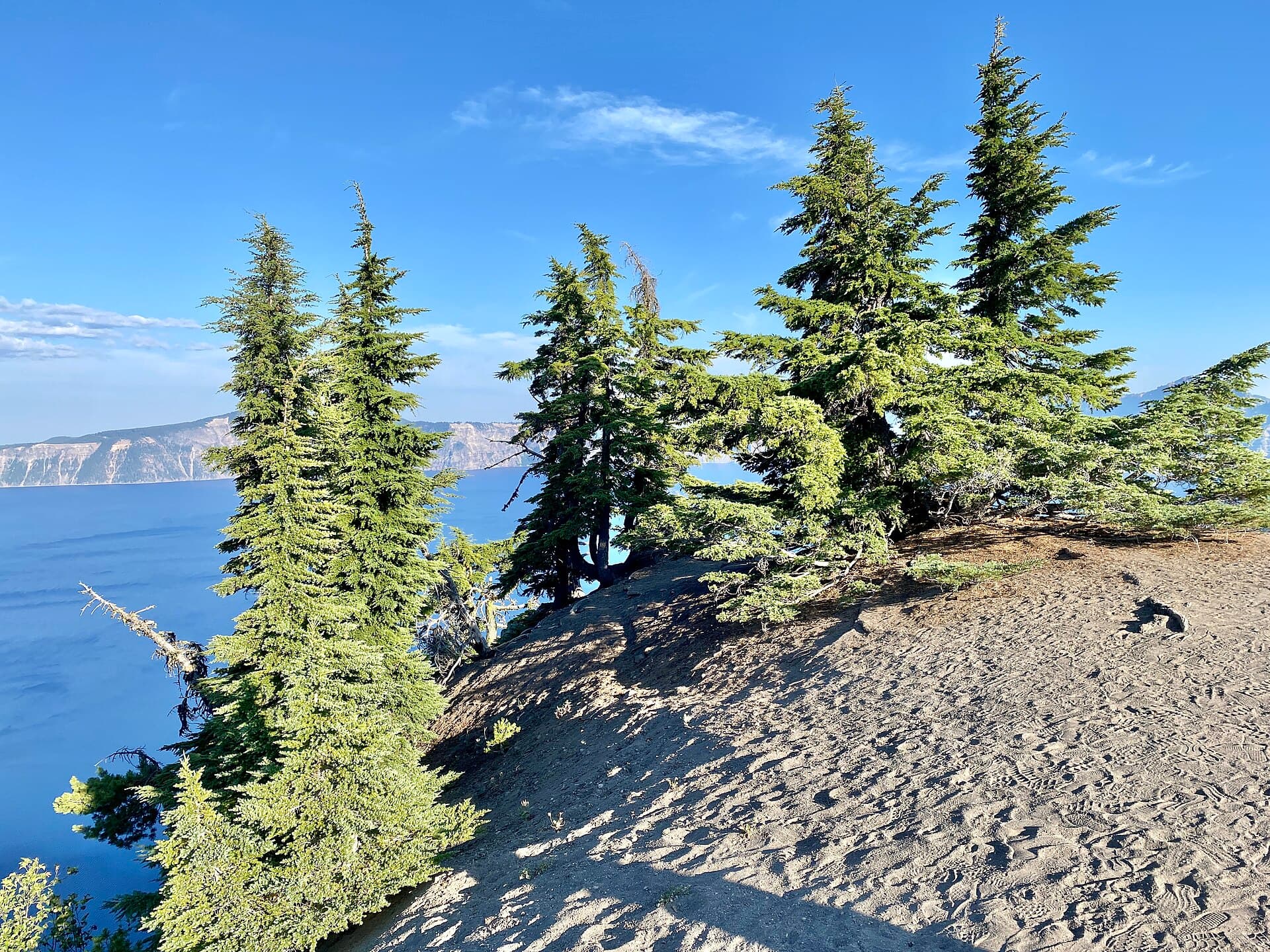 Trees, Crater Lake National Park, Crater Lake, OR.jpg