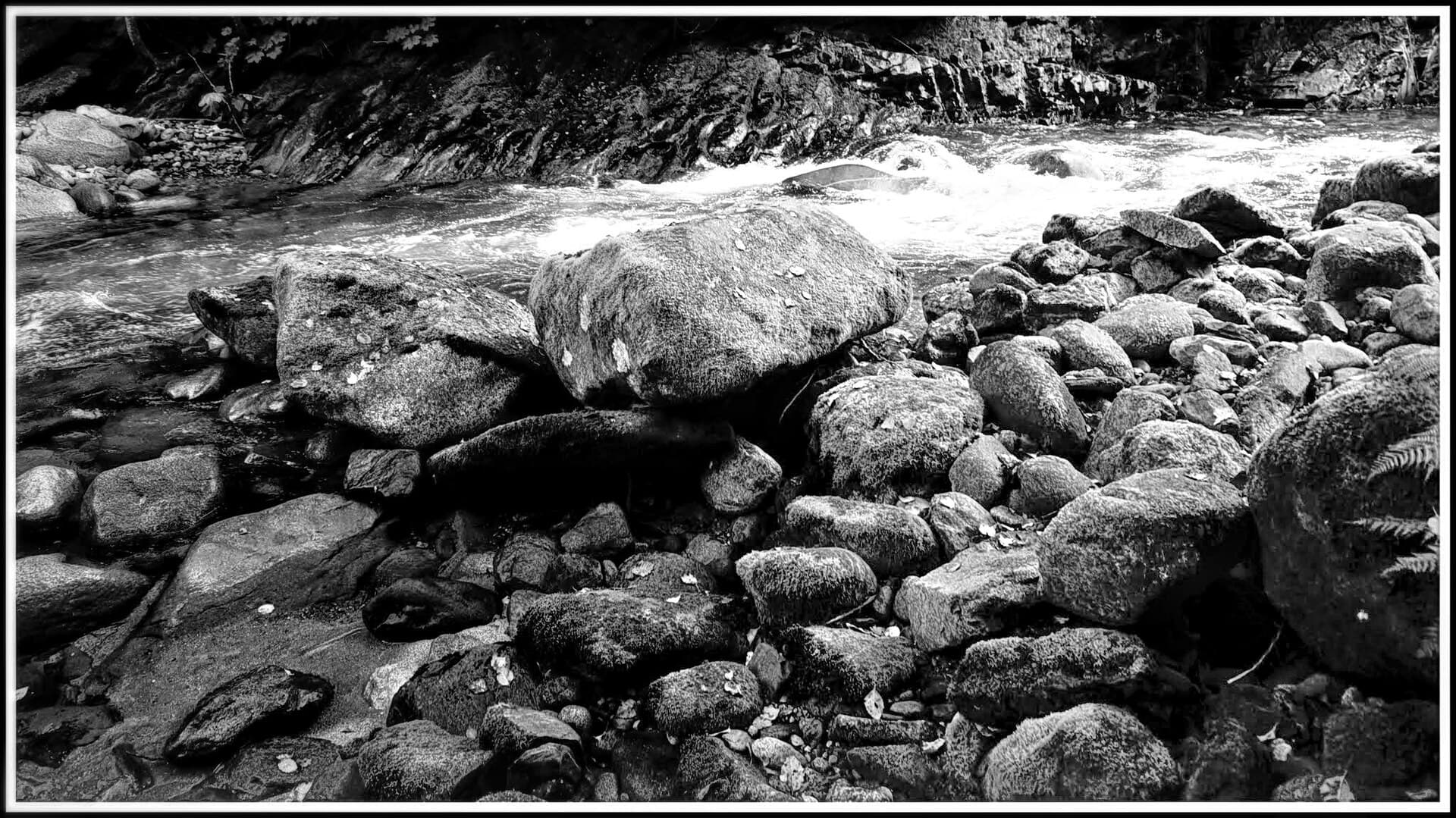 Bella Coola Valley (17043194416).jpg
