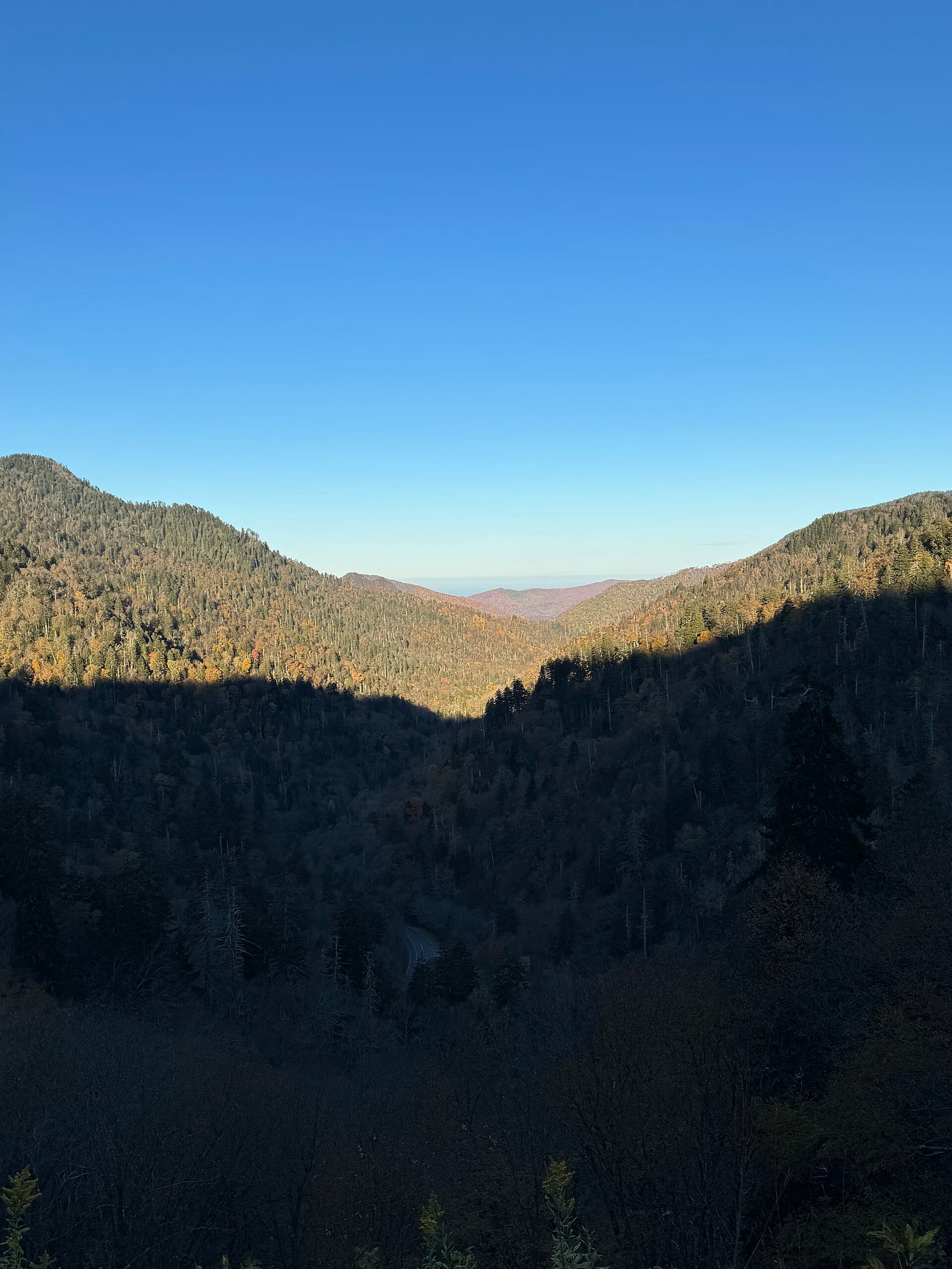 Great Smoky Mountains National Park - October 2023 - Sarah Stierch 03.jpg