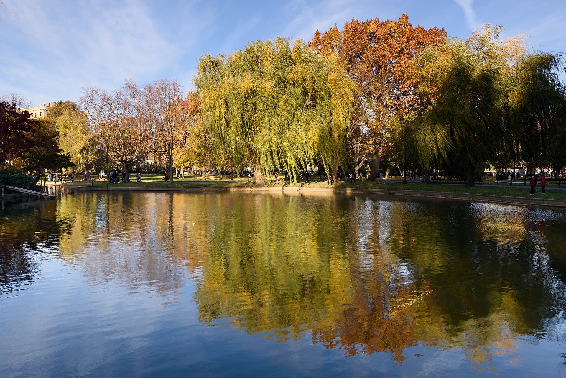 Boston Public Garden November 2016 001.jpg