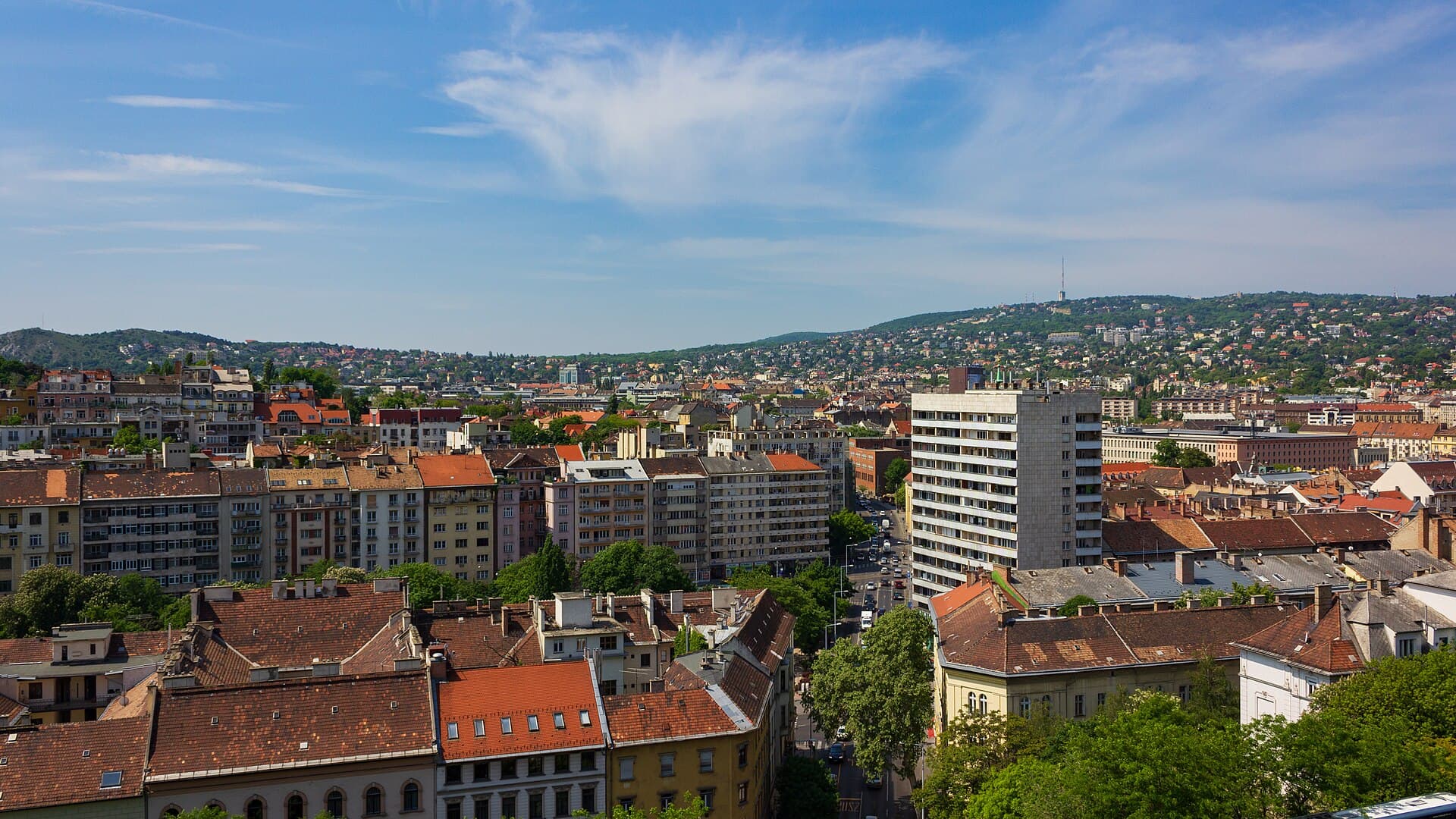 View from Buda Castle 2014 01.jpg