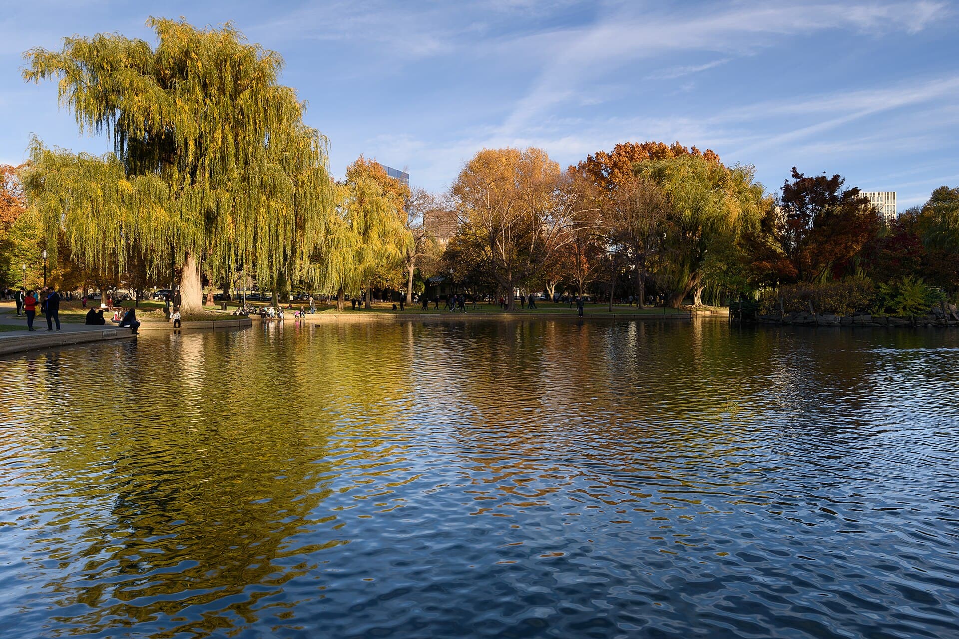 Boston Public Garden November 2016 004.jpg