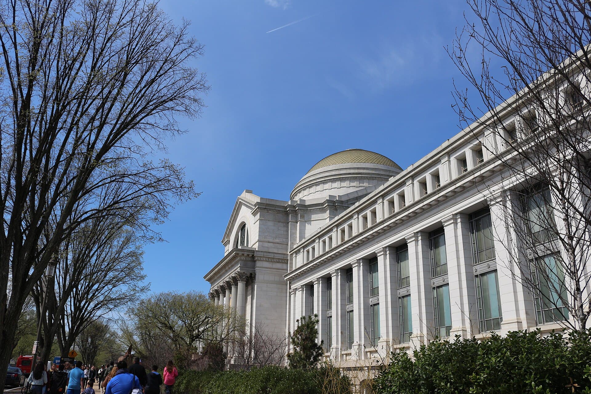 National Museum of Natural History .jpg