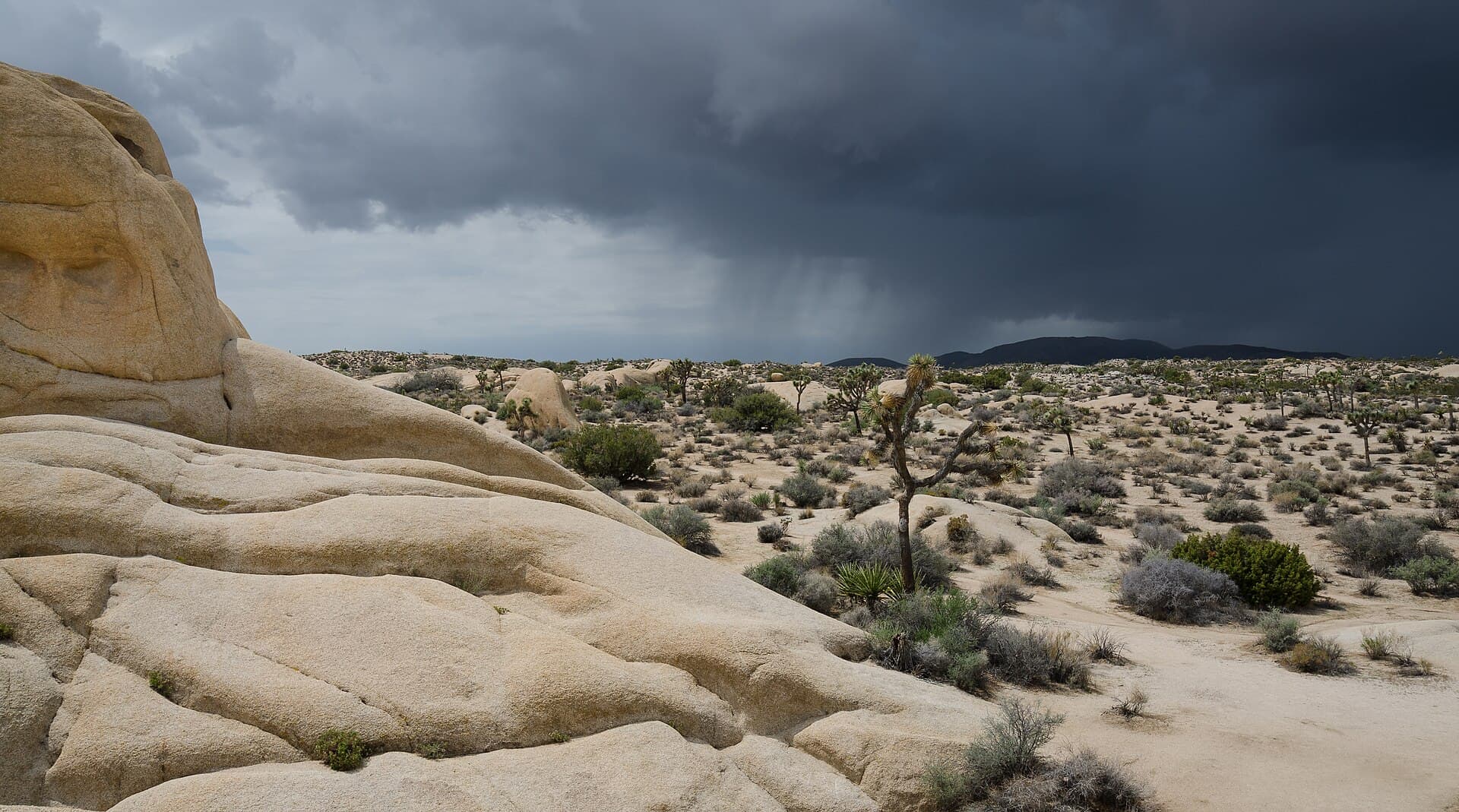 Joshua Tree Park approaching thunderstorm 02 2013.jpg