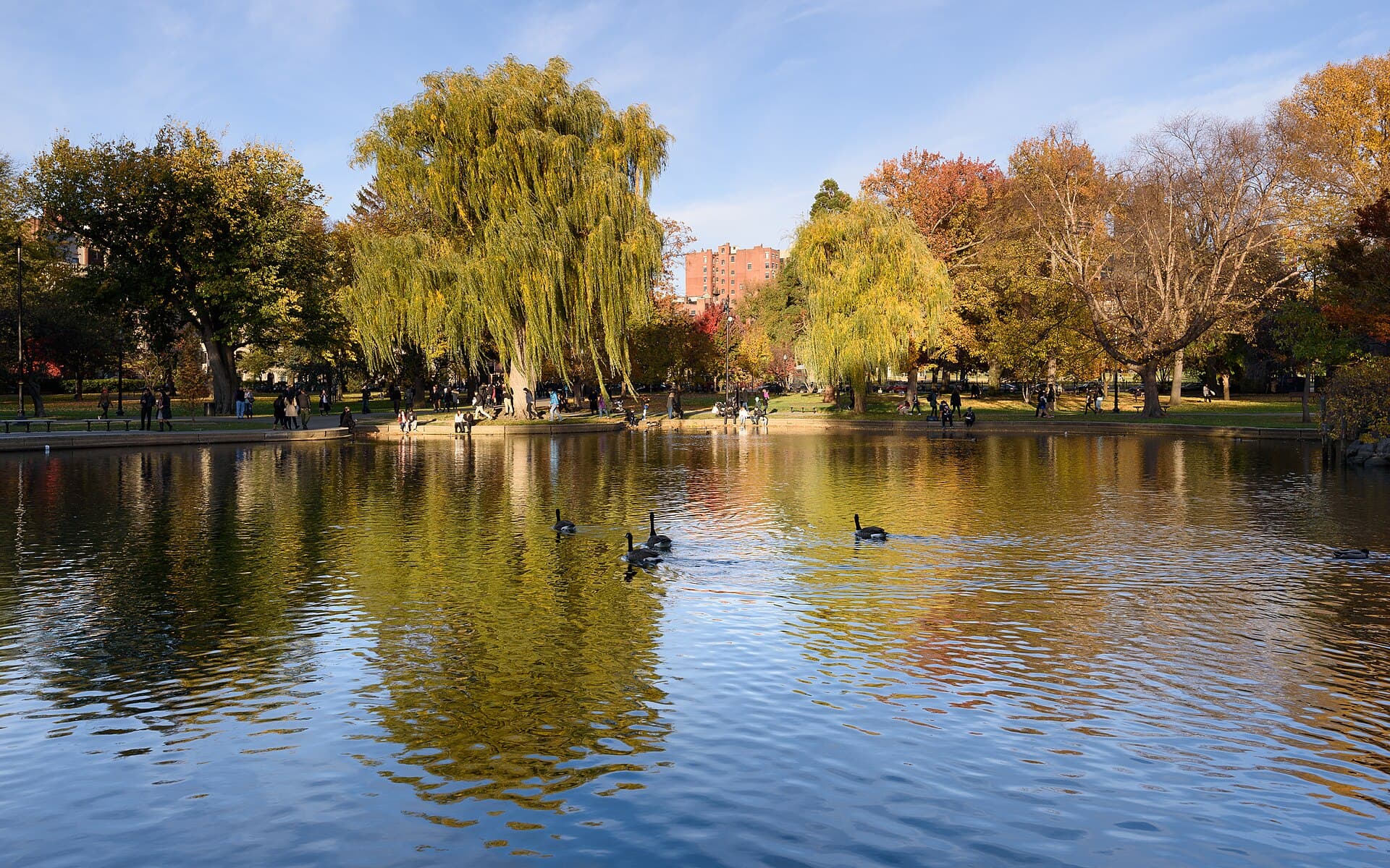 Boston Public Garden November 2016 003.jpg