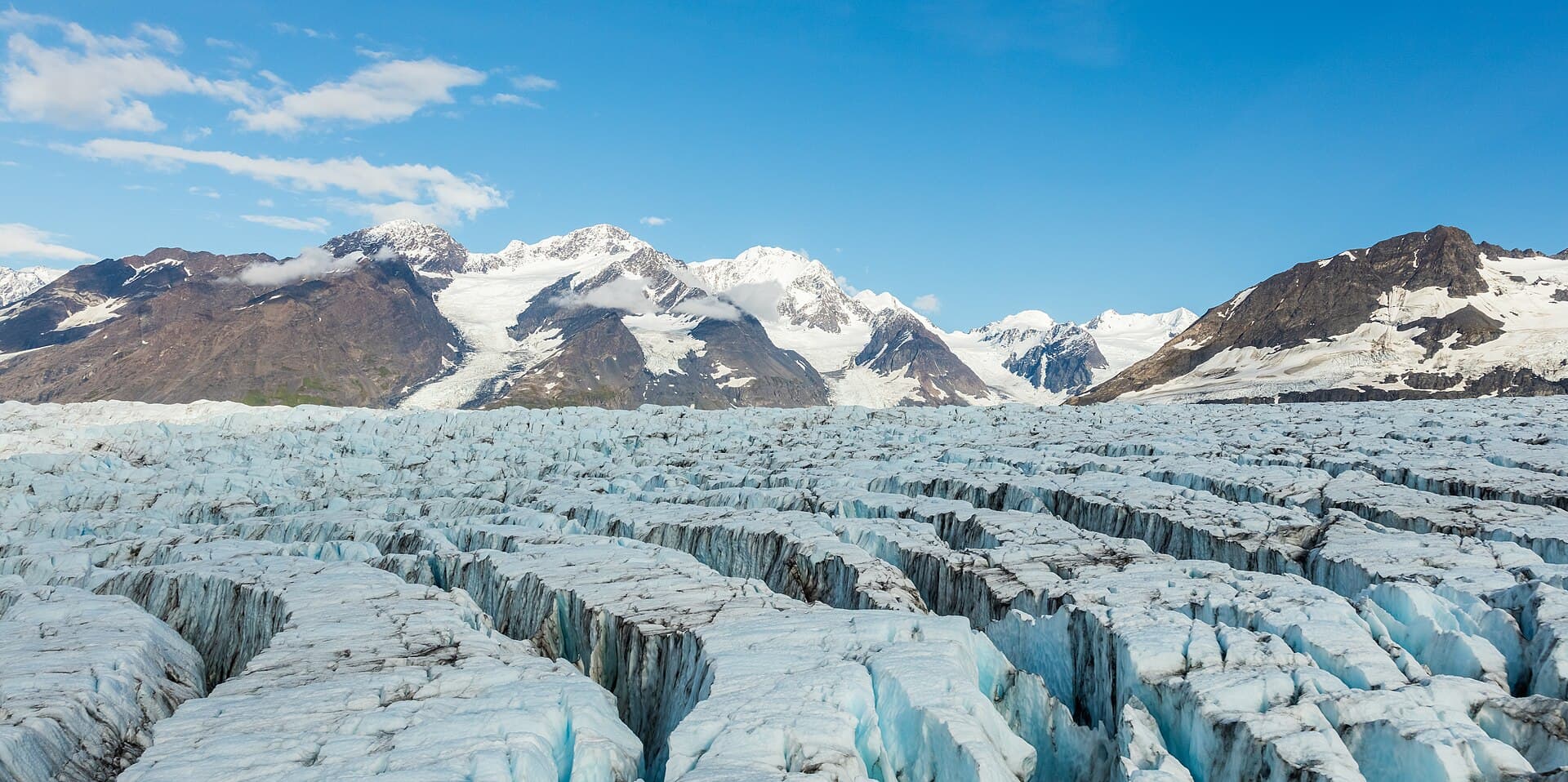 Parque estatal Chugach, Alaska, Estados Unidos, 2017-08-22, DD 94.jpg