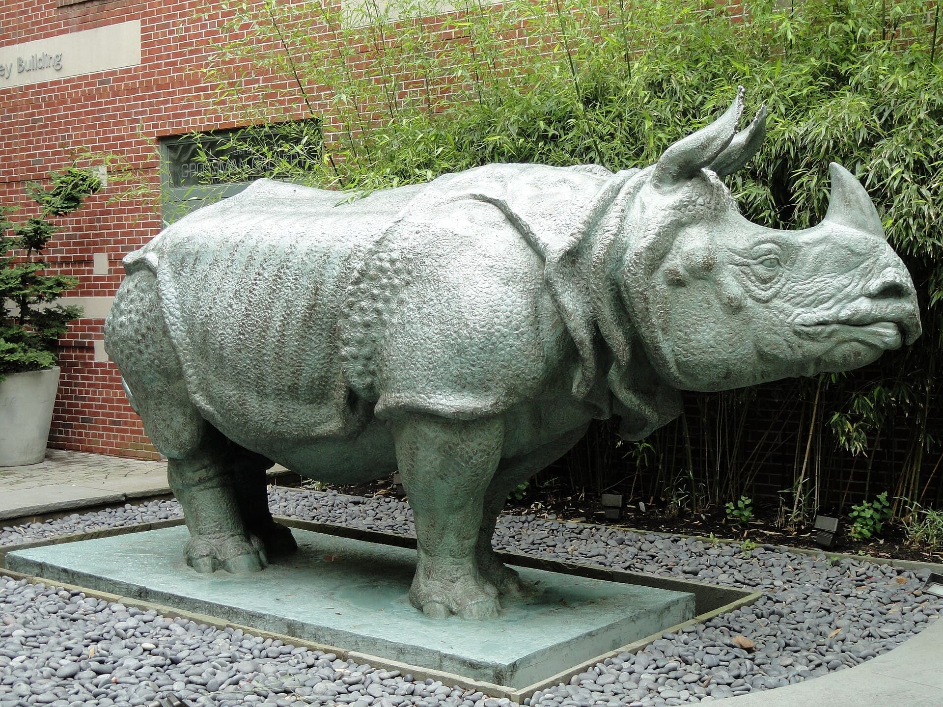 Rhinoceros Sculpture, School of the Museum of Fine Arts, Boston - DSC09370.jpg