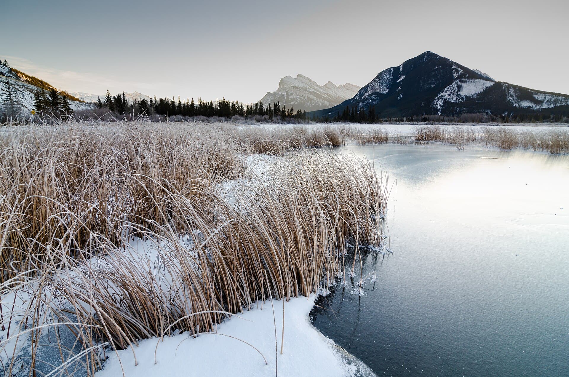 Vermilion Lakes - Banff.jpg