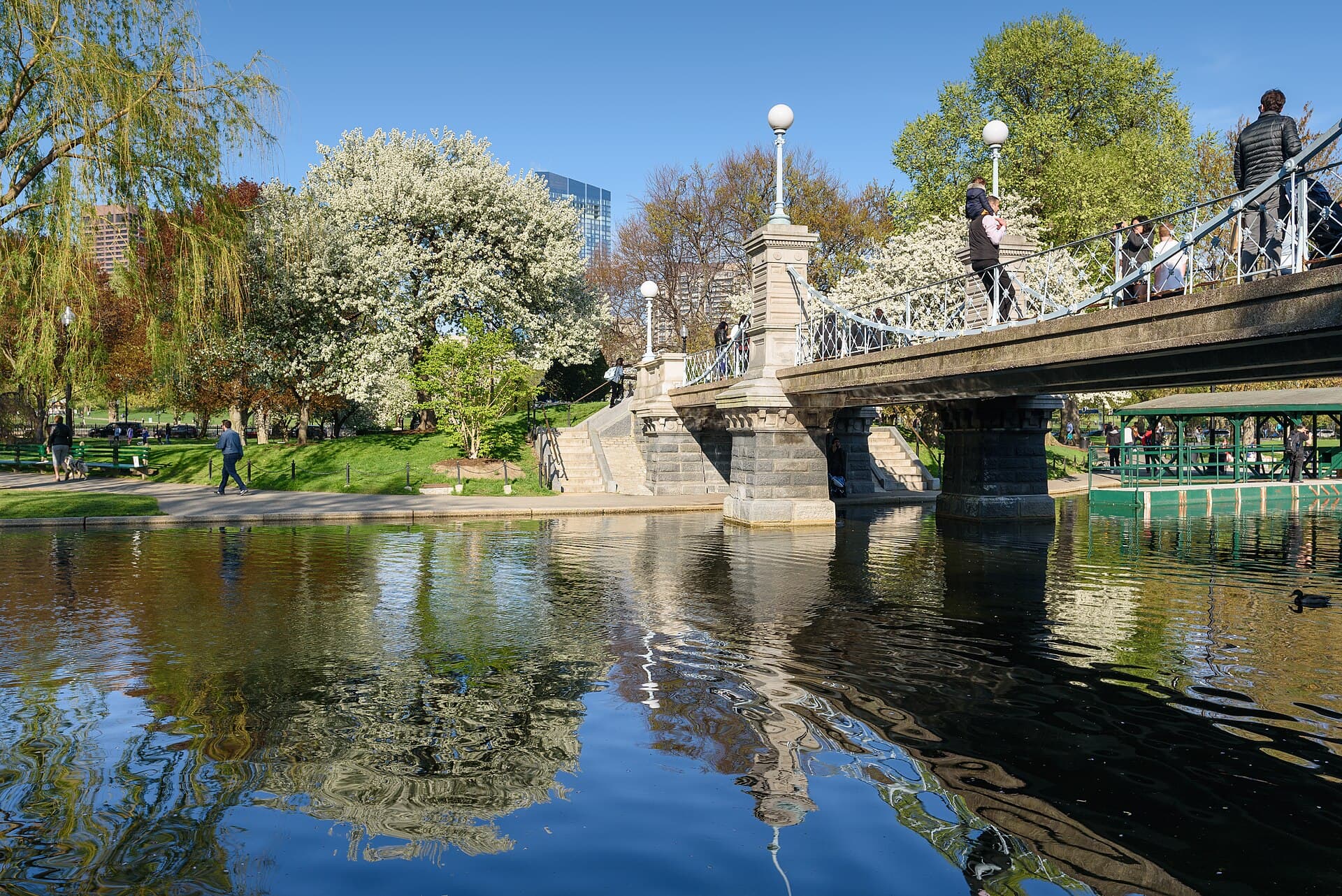 Boston Public Garden May 2018 003.jpg
