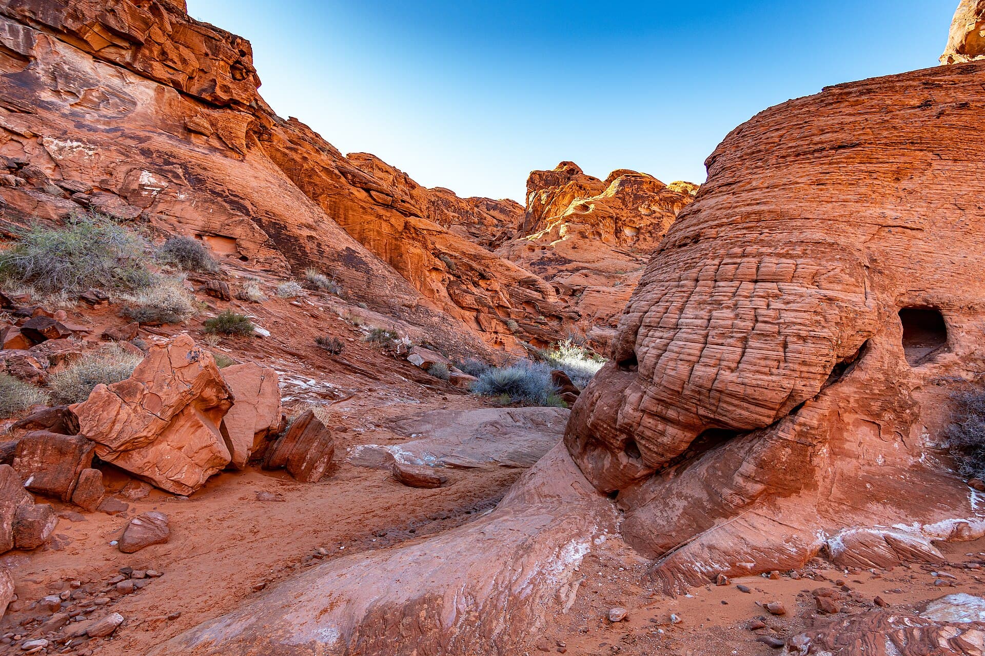 Valley of Fire Detail.jpg