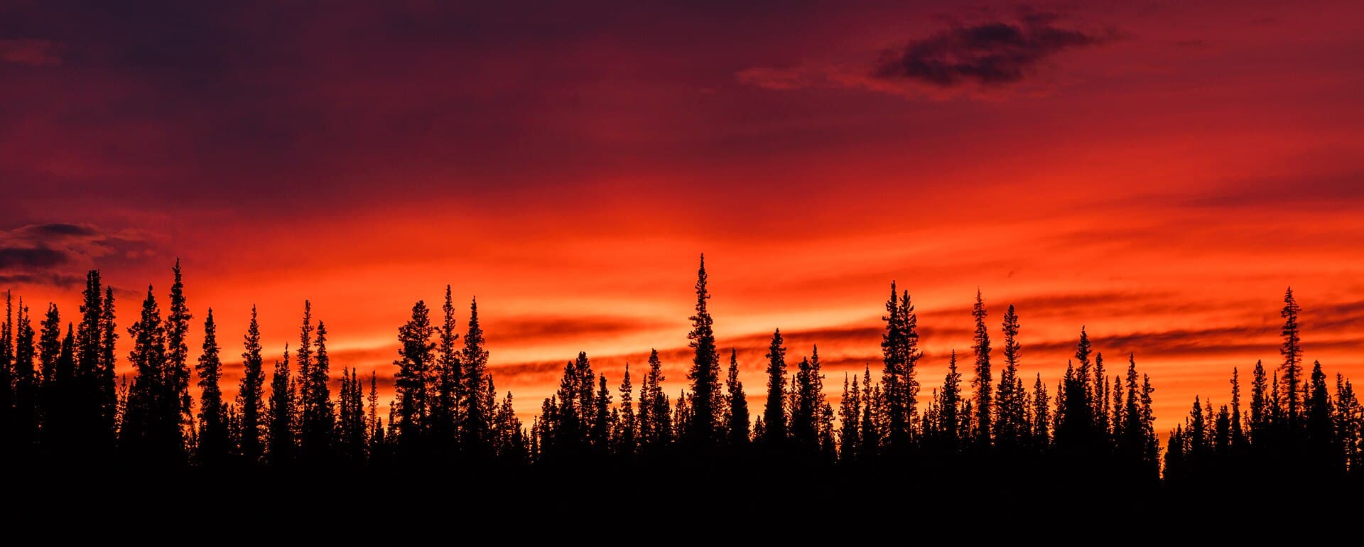 Puesta de sol, Tok, Alaska, Estados Unidos, 2017-08-28, DD 189-191 HDR.jpg