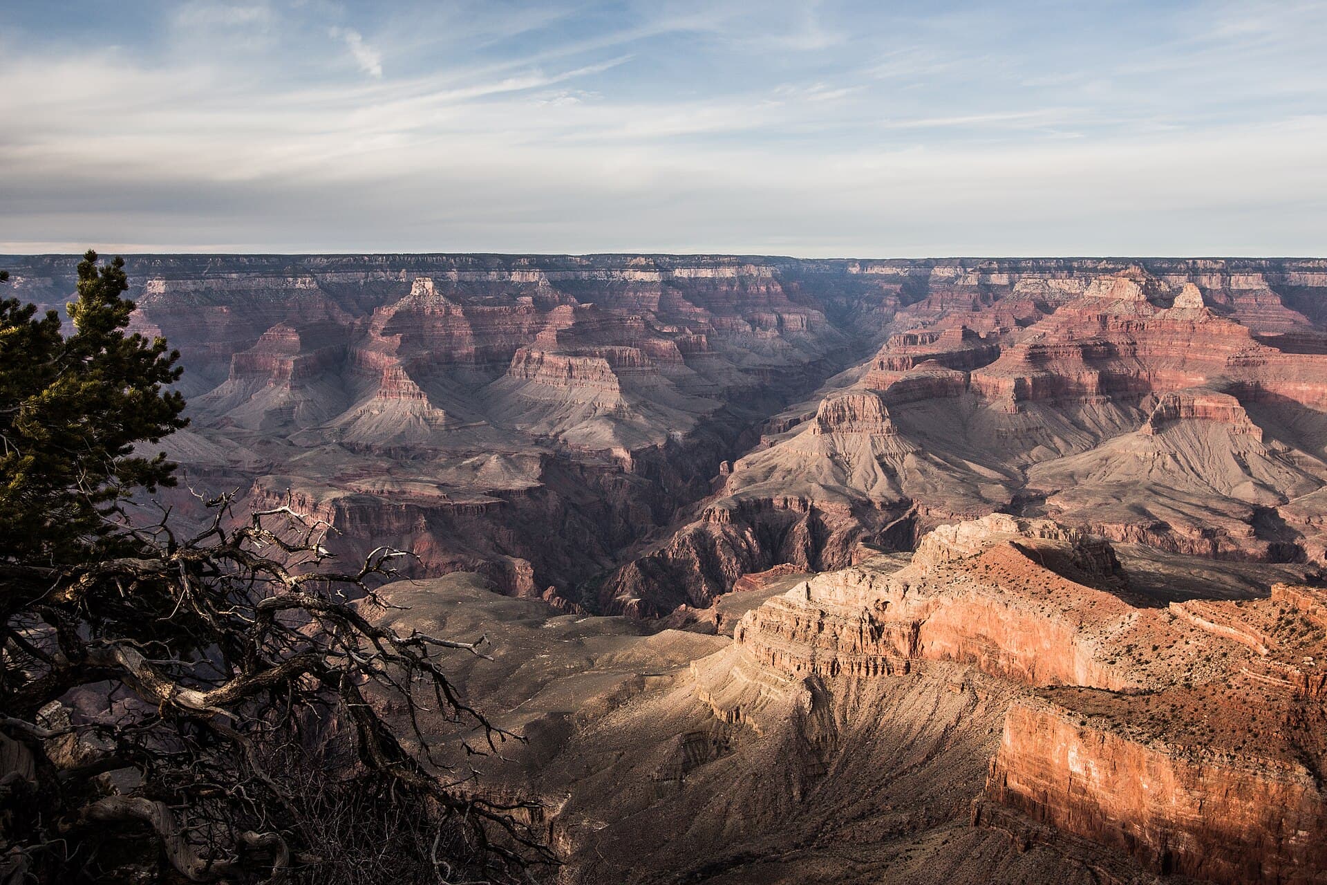 Grand canyon march 2013.jpg