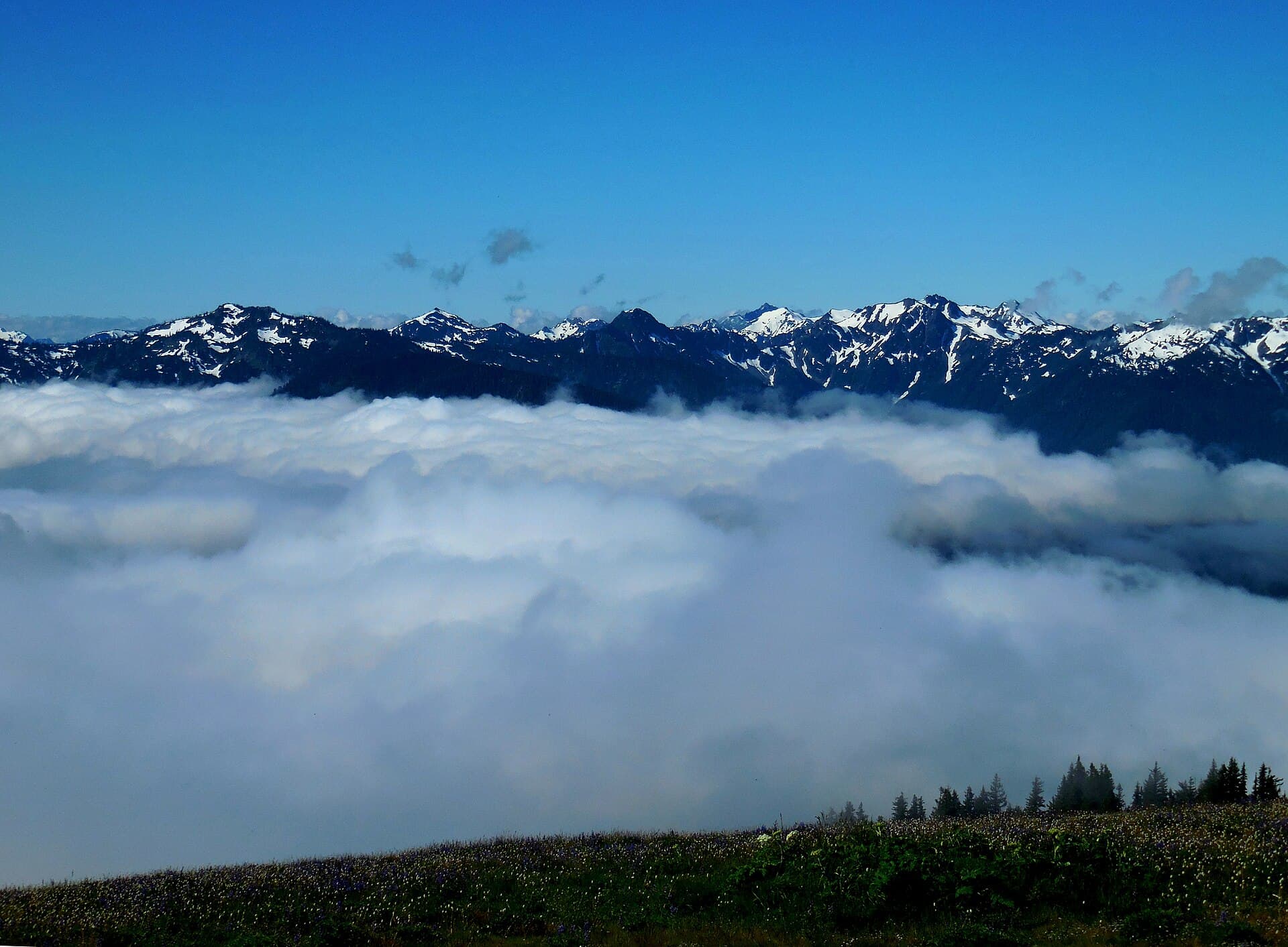 Olympic National Park (22477985263).jpg