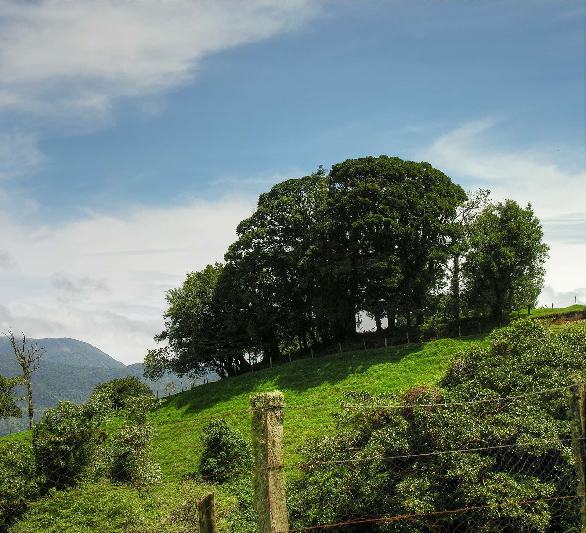 Poas Volcano 002.jpg