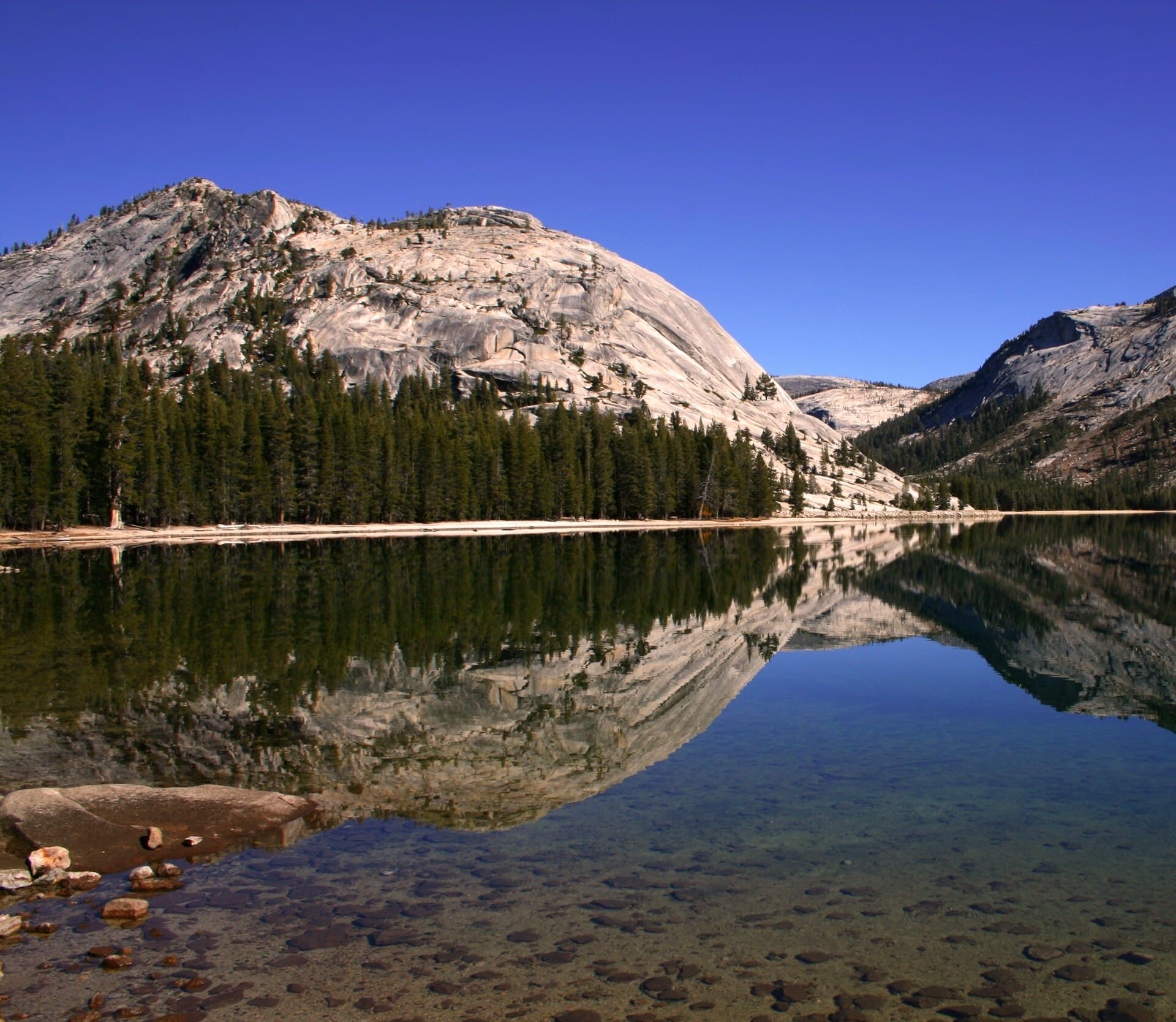Lake Tenaya in Yosemite NP.jpg